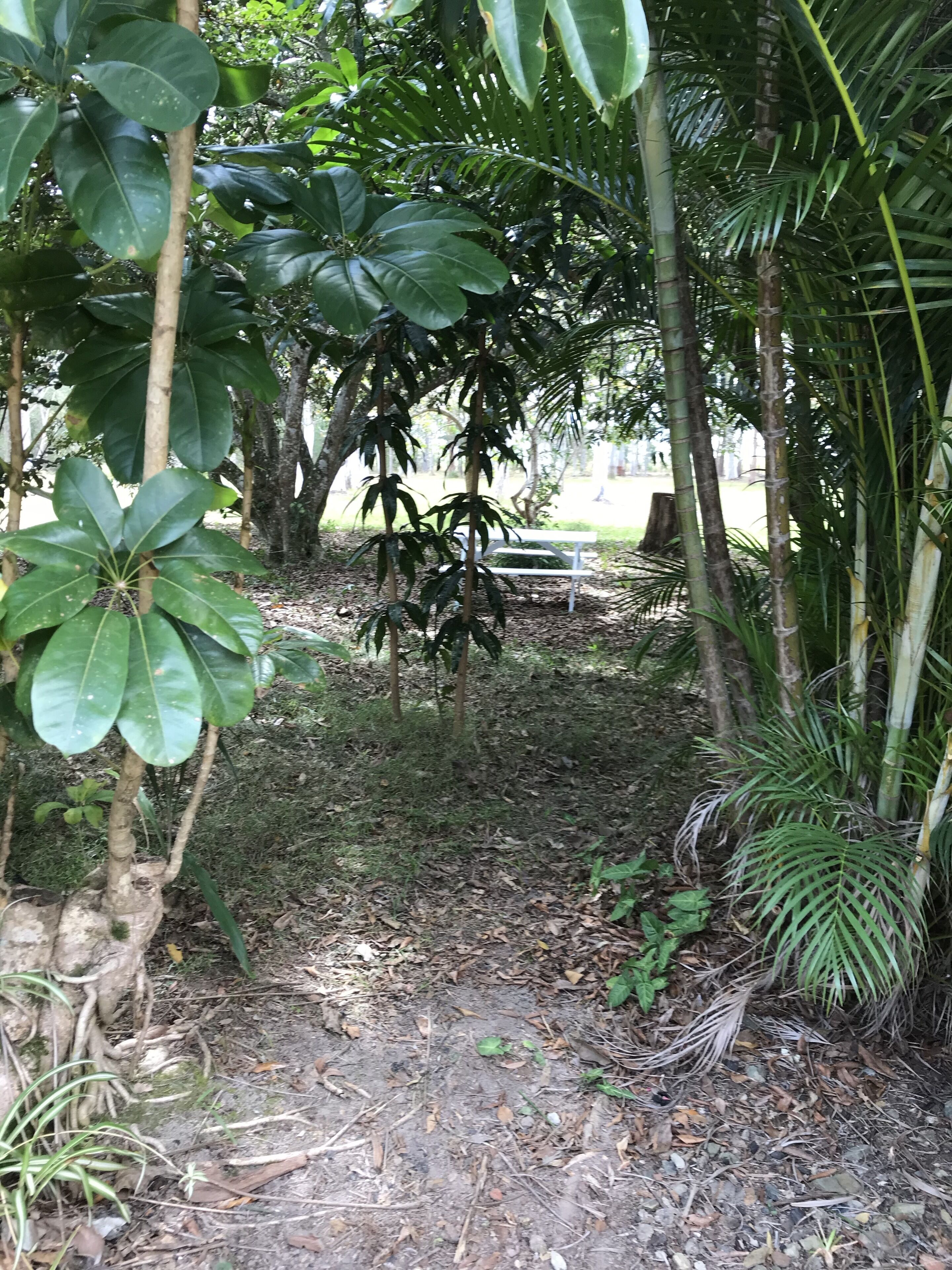 The Cottage of Peace and Tranquility