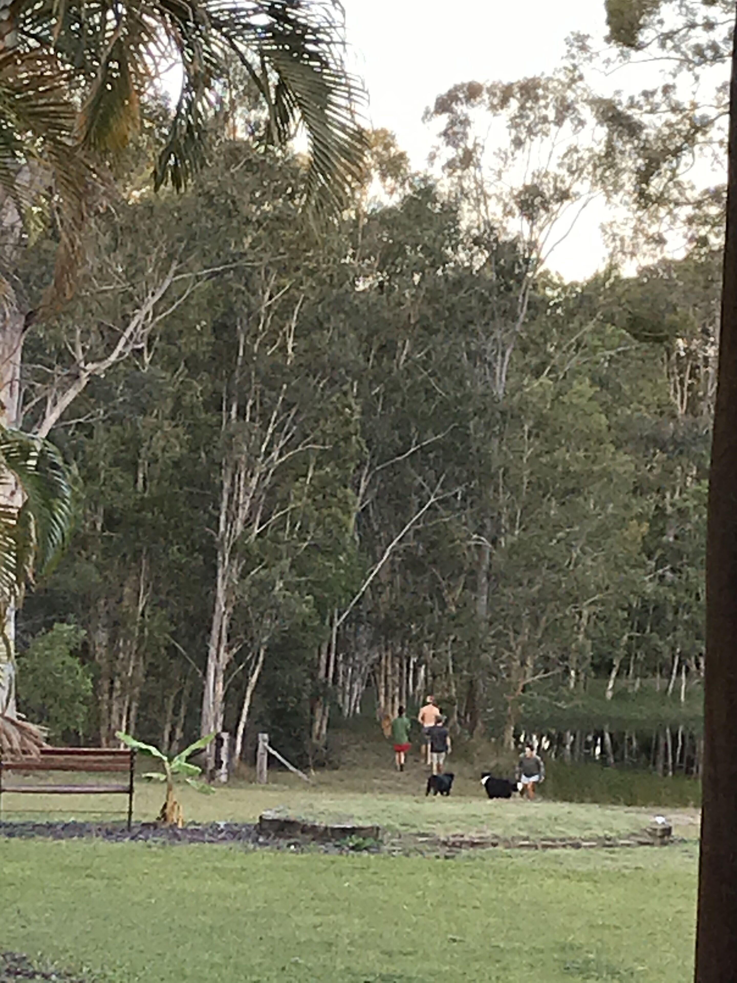 The Cottage of Peace and Tranquility