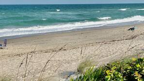 On the beach, sun-loungers, beach towels