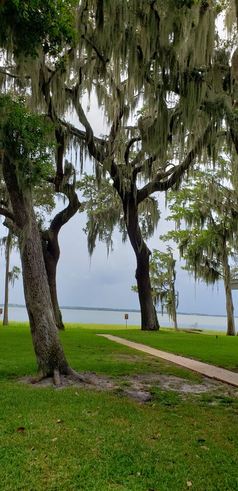 LAKE HARRIS SIESTA HIDEAWAY 3