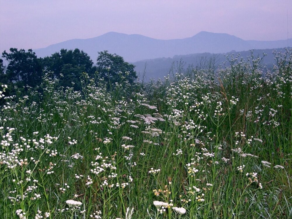 The Creamery: Breathtaking views & cozy studio!