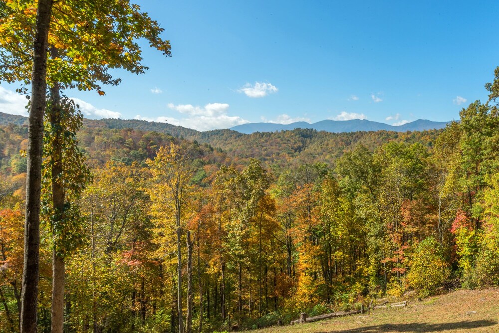 Swiss Pine Lodge!! Hot tub, Mtn Views, Fire-Pit!