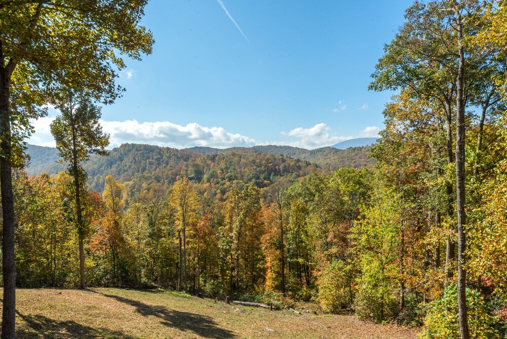 Swiss Pine Lodge!! Hot tub, Mtn Views, Fire-Pit!
