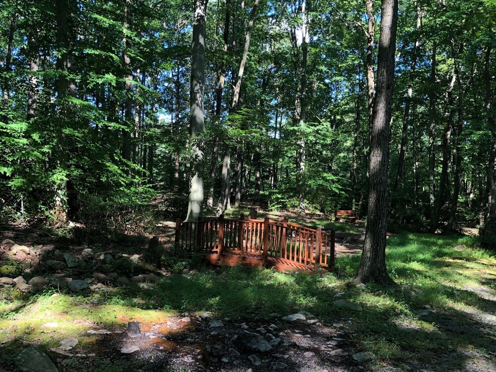 Sawmill Lane Cottage:  Family friendly spot in the woods at the base of Shade Mt