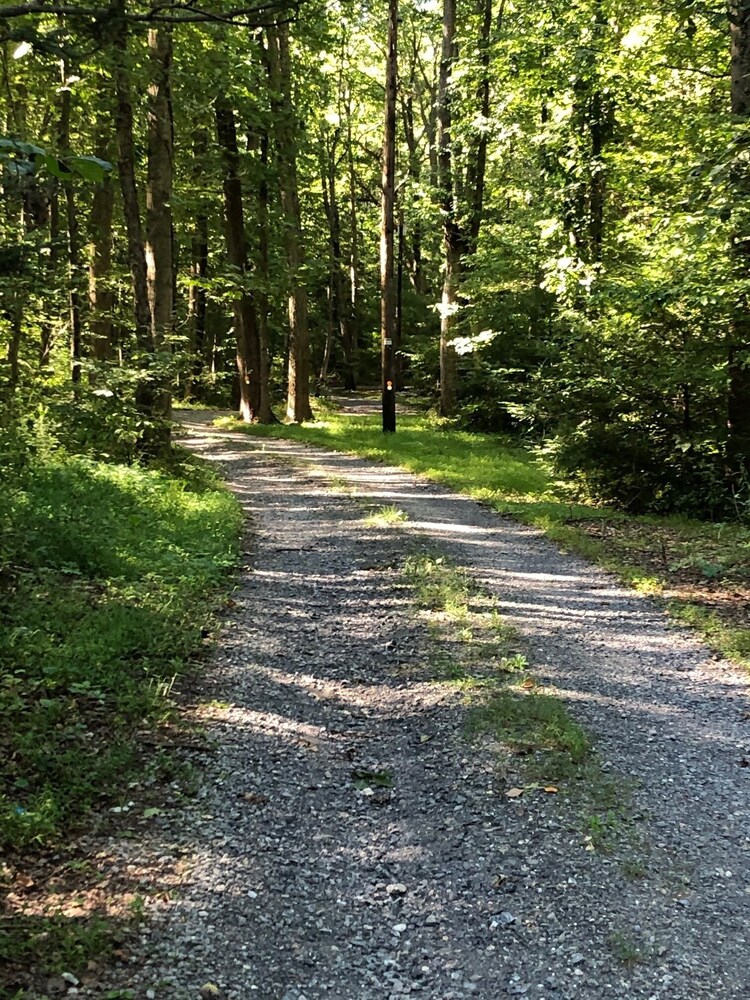 Sawmill Lane Cottage:  Family friendly spot in the woods at the base of Shade Mt