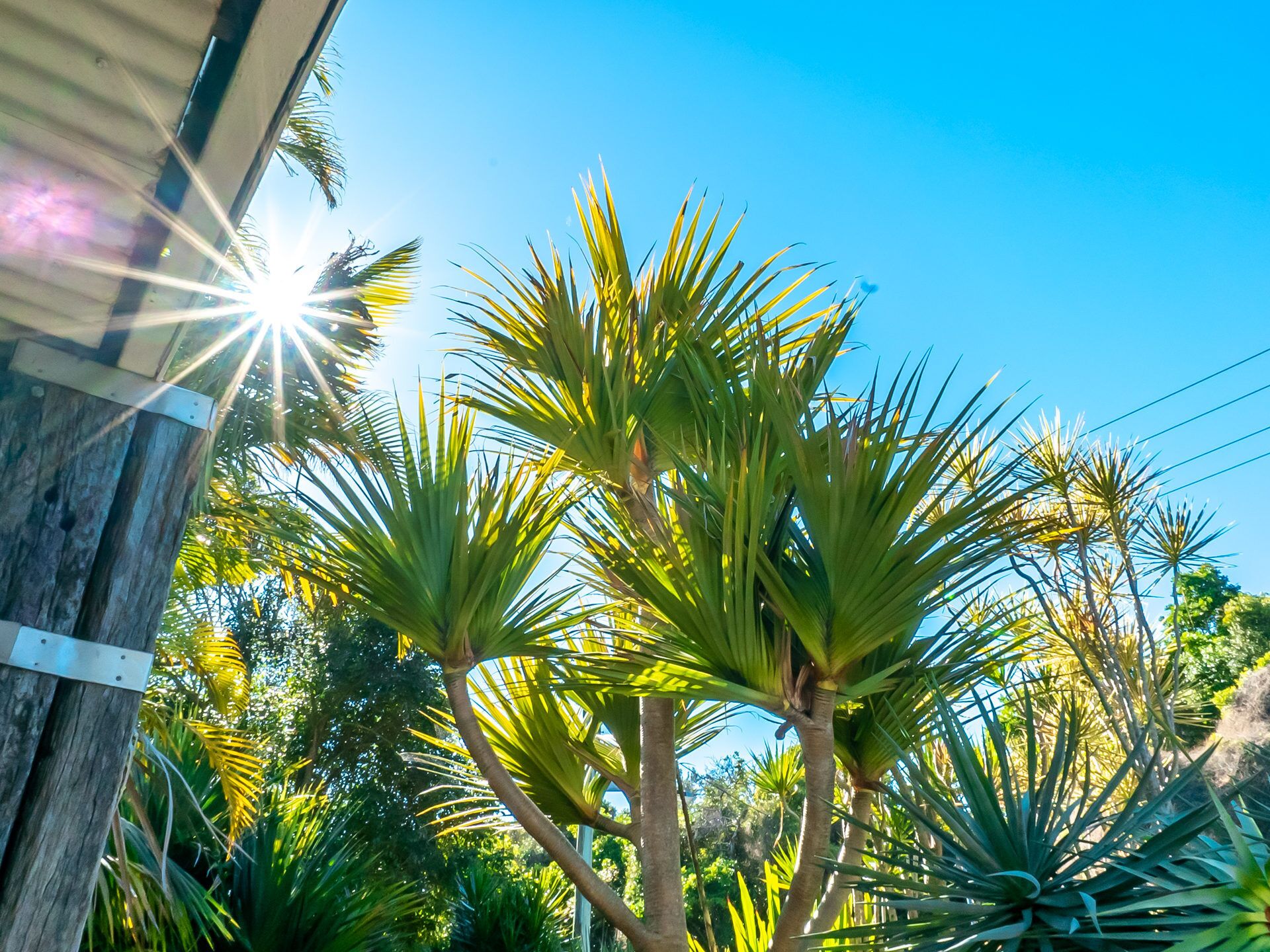 Luxury Living a Step Away From the Beach