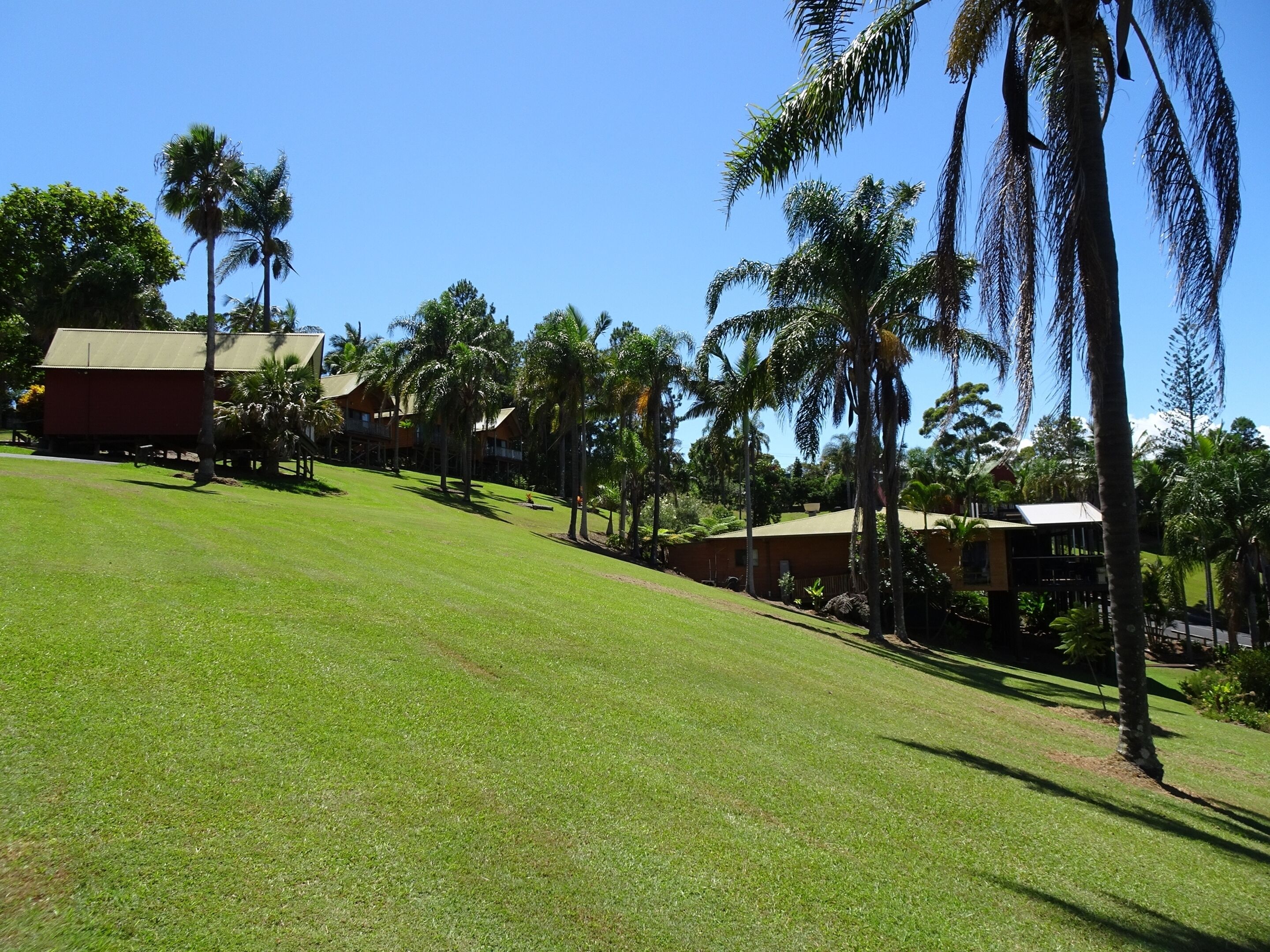 Korora Palms - Executive Spa Bure