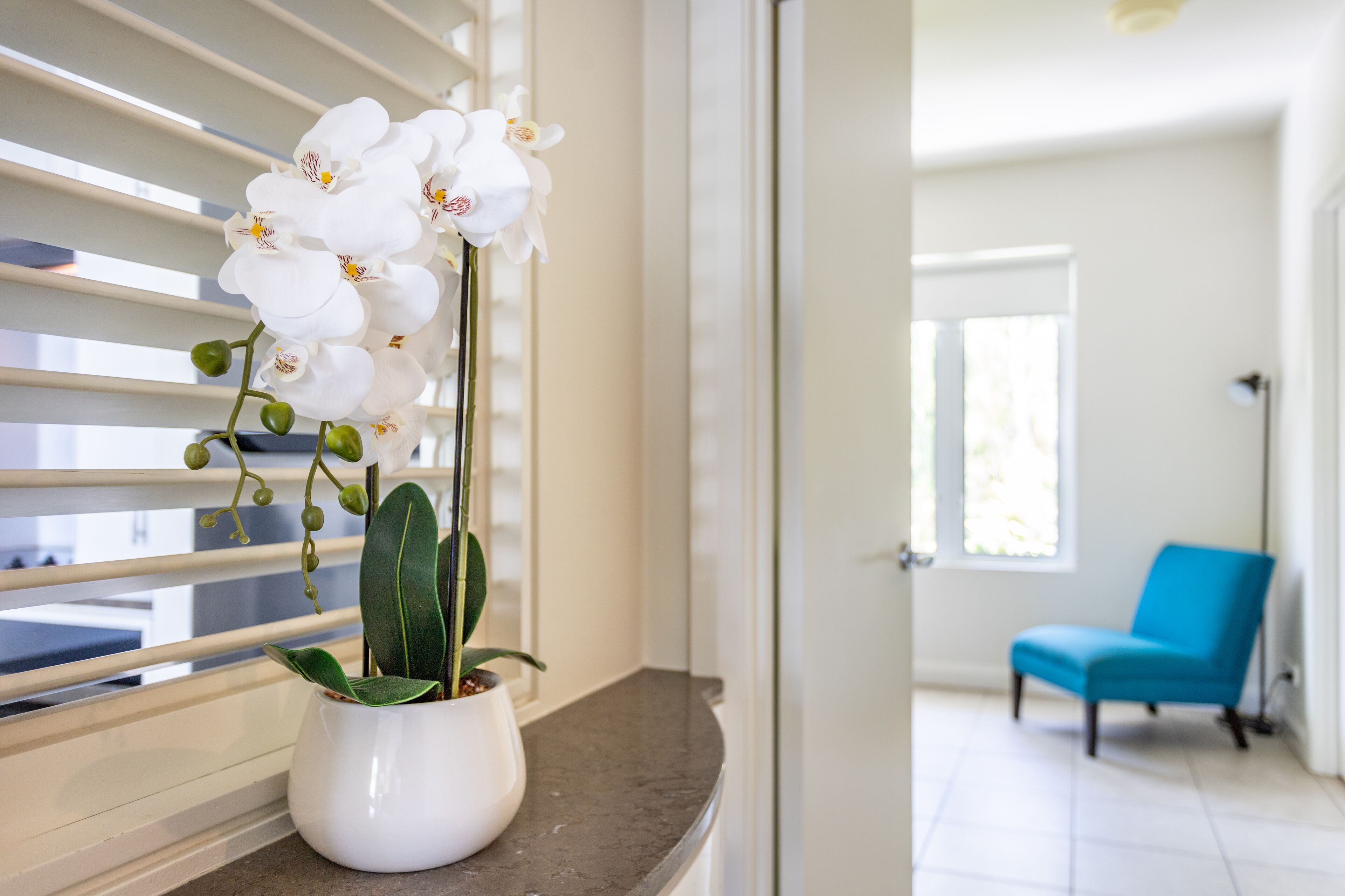 Beach Club Penthouse 3133