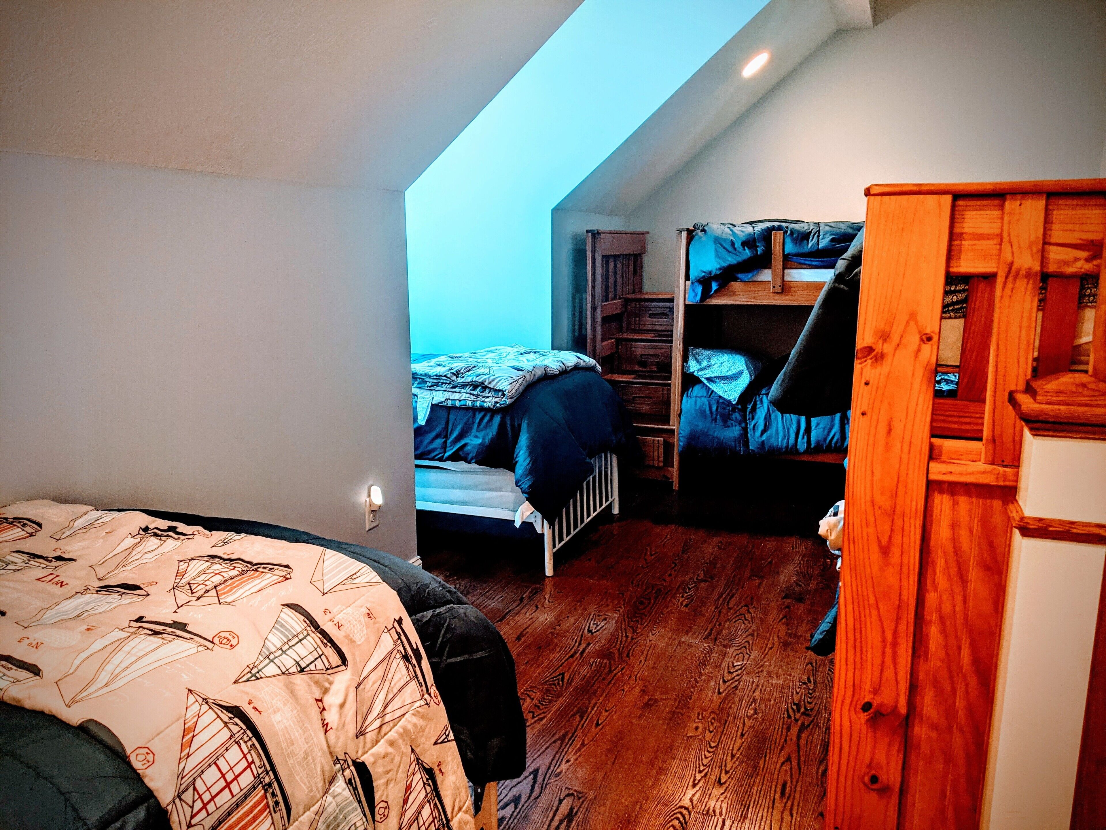 Party dock, FAST internet, Spacious home! in Roanoke, United States