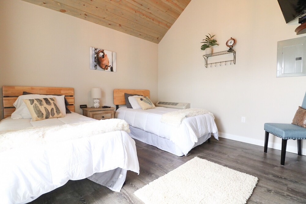 Yard Geese Close to the Ark Encounter Dry Ridge FeWodirekt