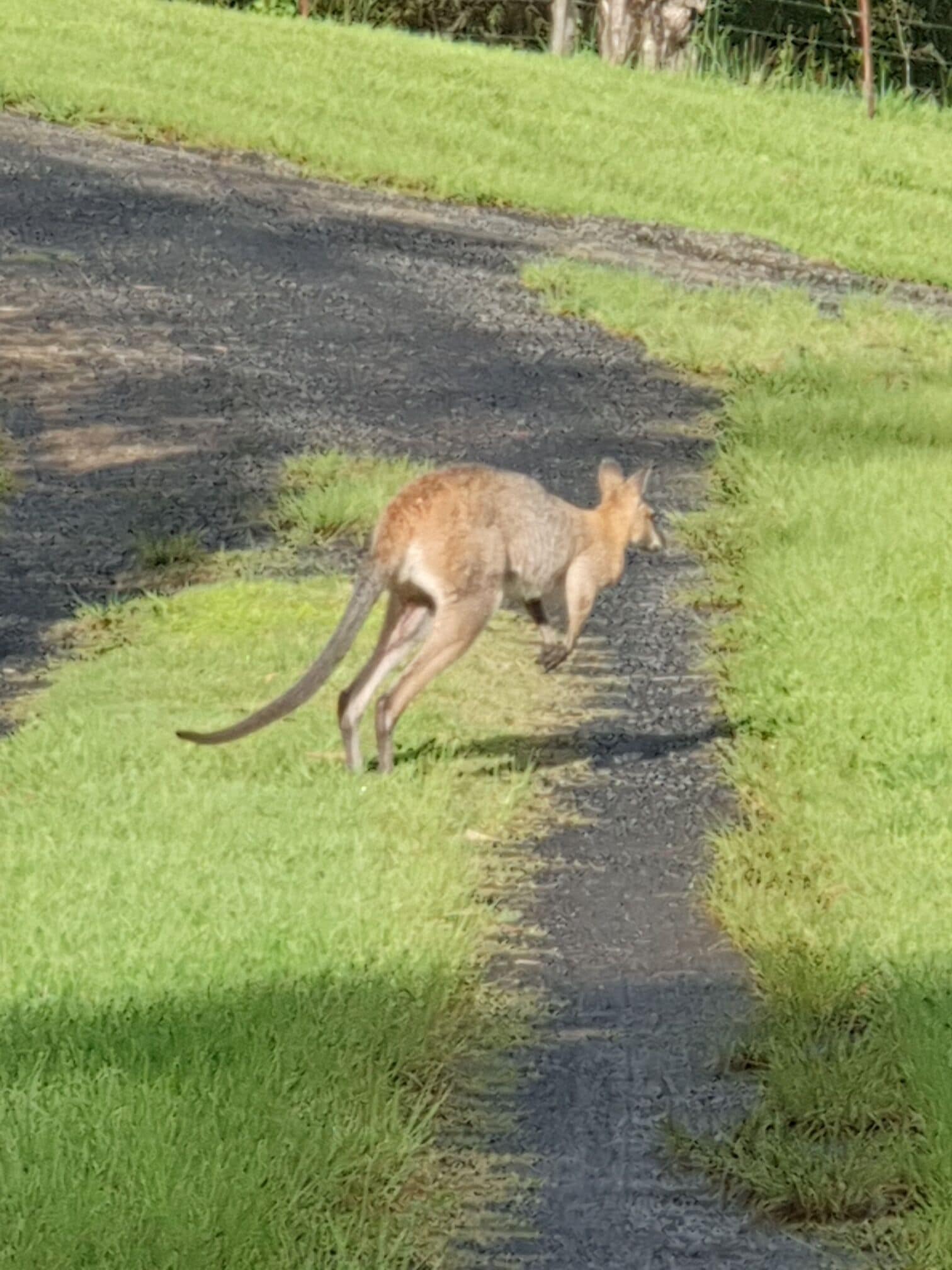 Farm Stay at Lillian Rock the Entire Building
