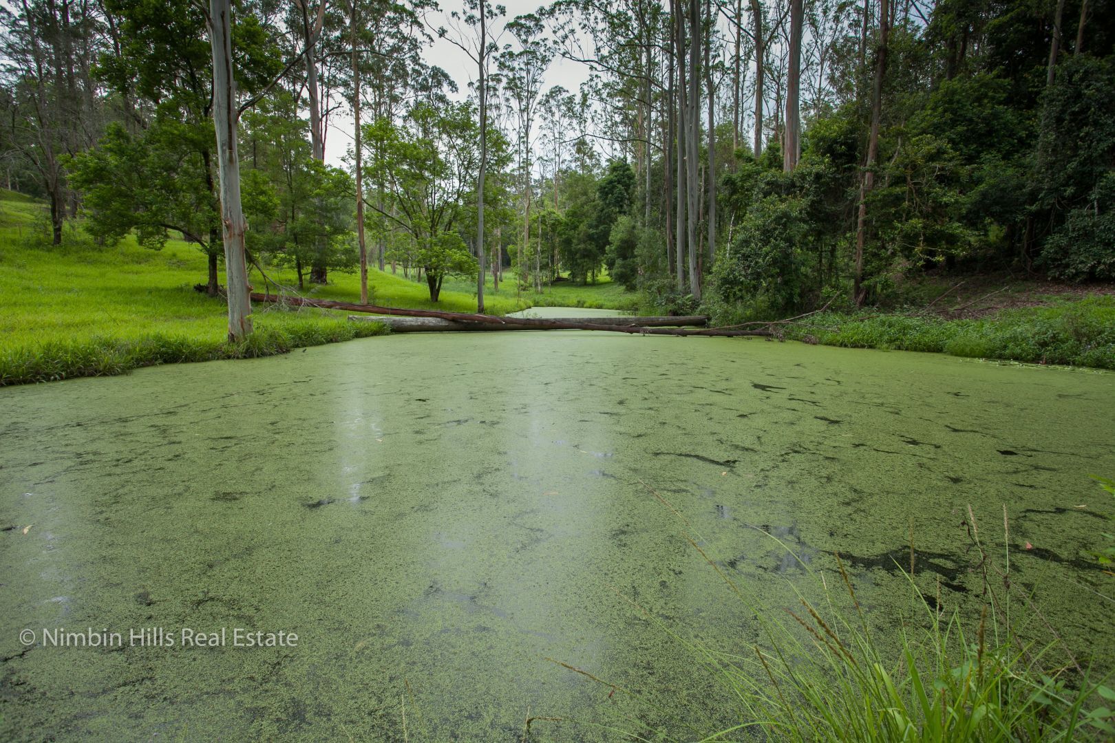 Farm Stay at Lillian Rock the Entire Building