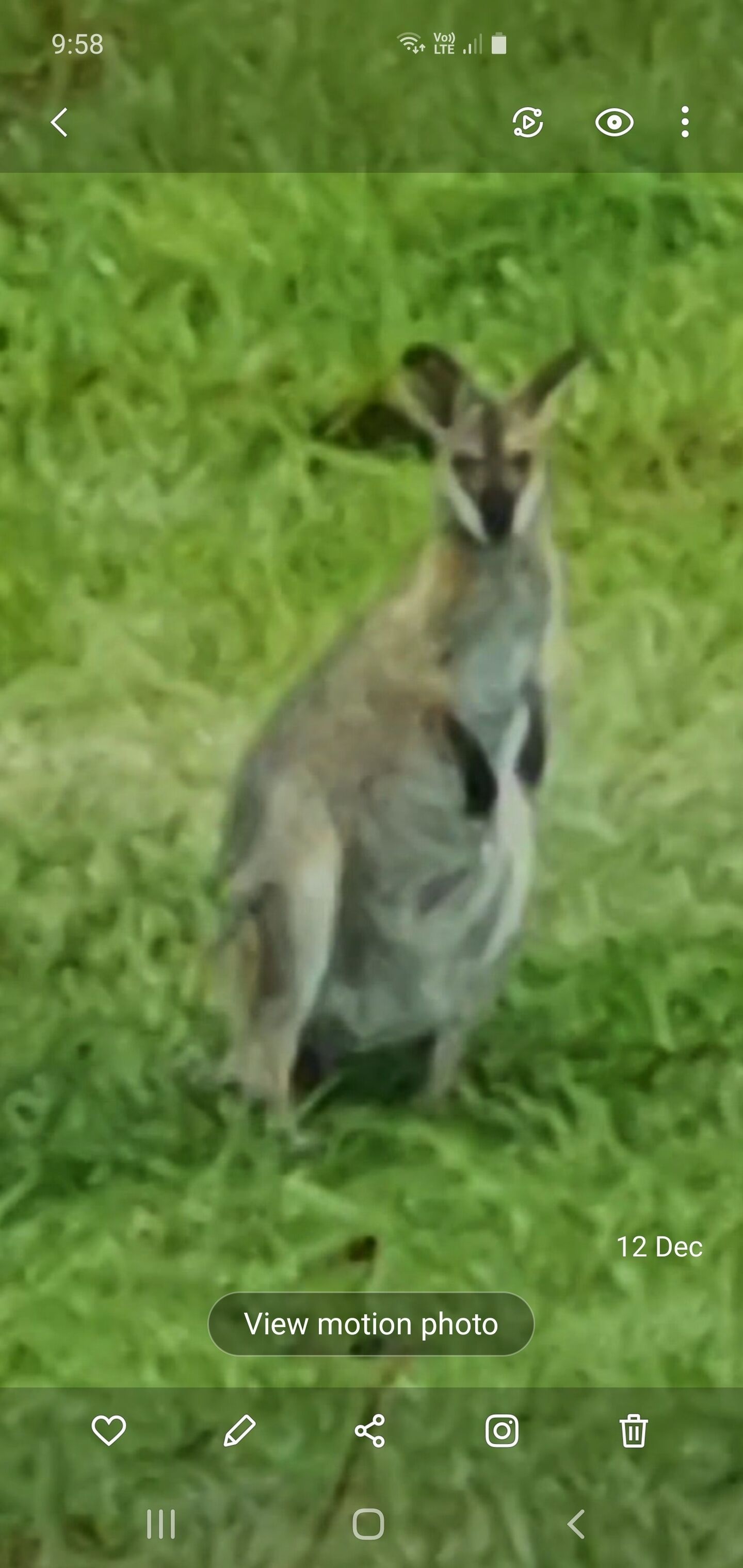 Farm Stay at Lillian Rock the Entire Building