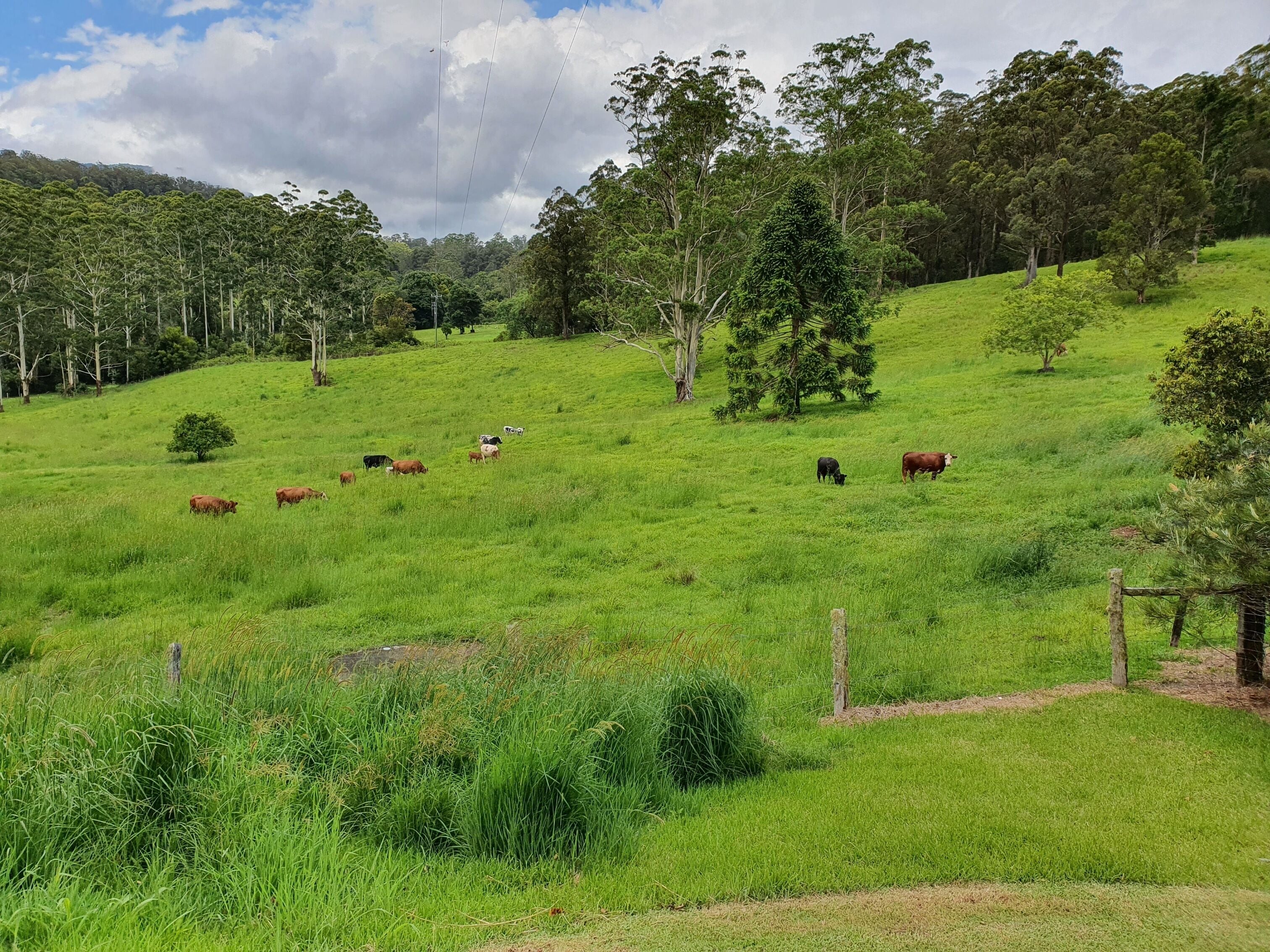 Farm Stay at Lillian Rock the Entire Building