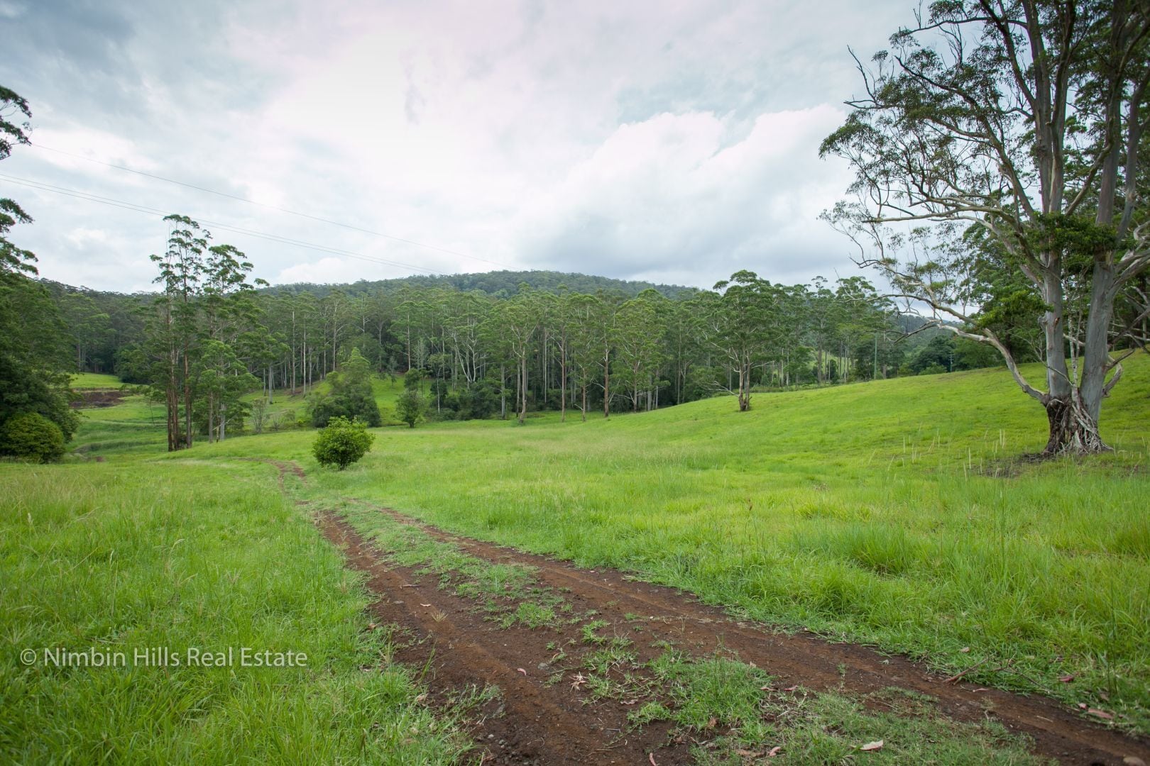 Farm Stay at Lillian Rock the Entire Building
