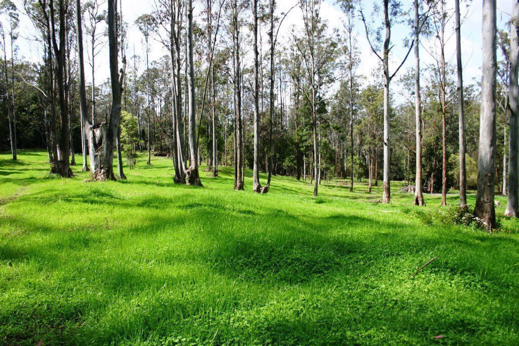 Farm Stay at Lillian Rock the Entire Building