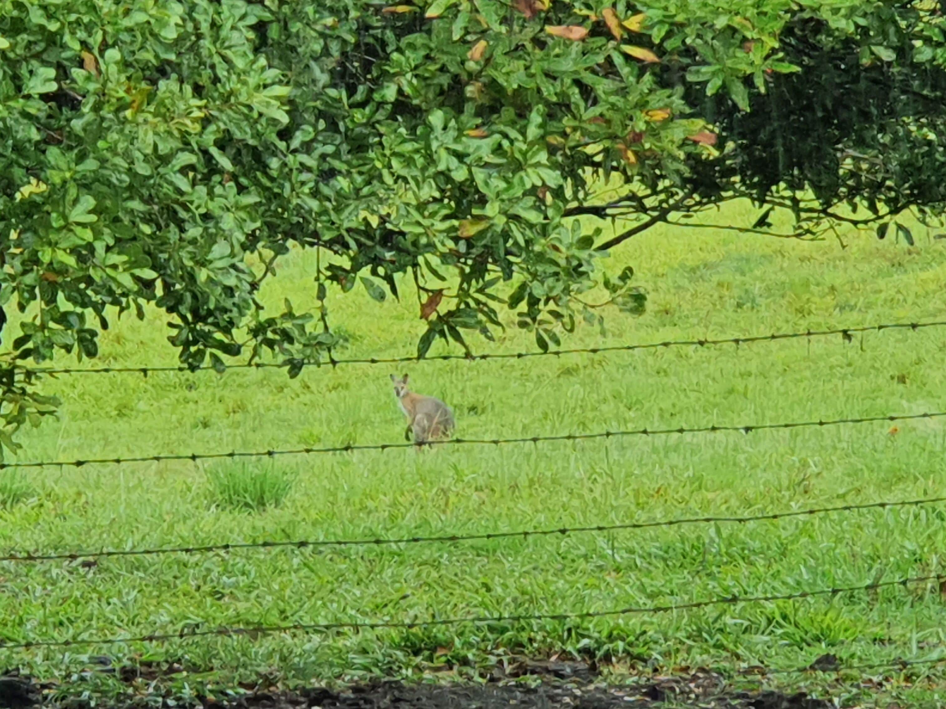 Farm Stay at Lillian Rock the Entire Building