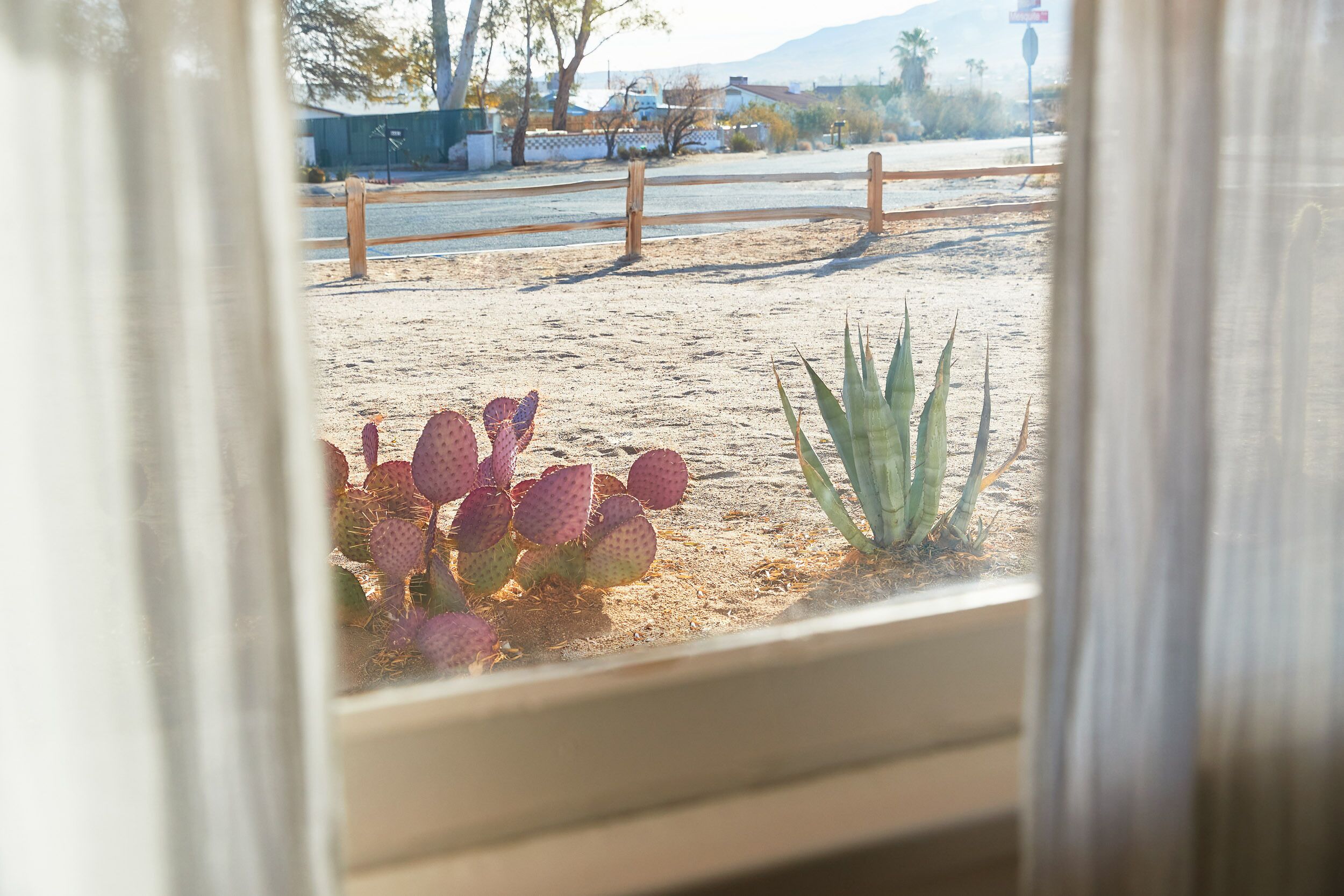 Casa de la Muxer 1940's Desert Adobe in Twentynine Palms, United States
