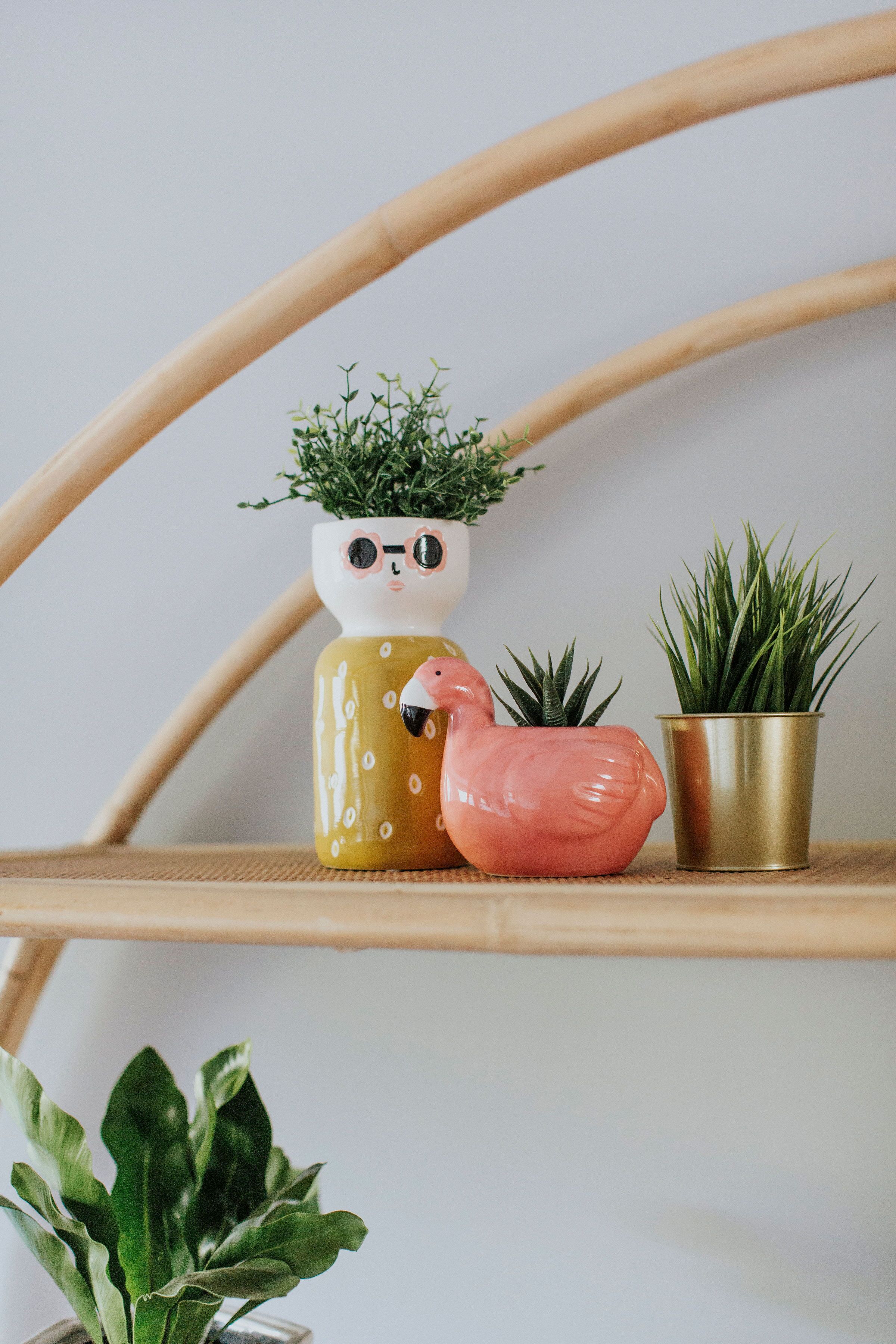 The Pink Rhino Bellingen