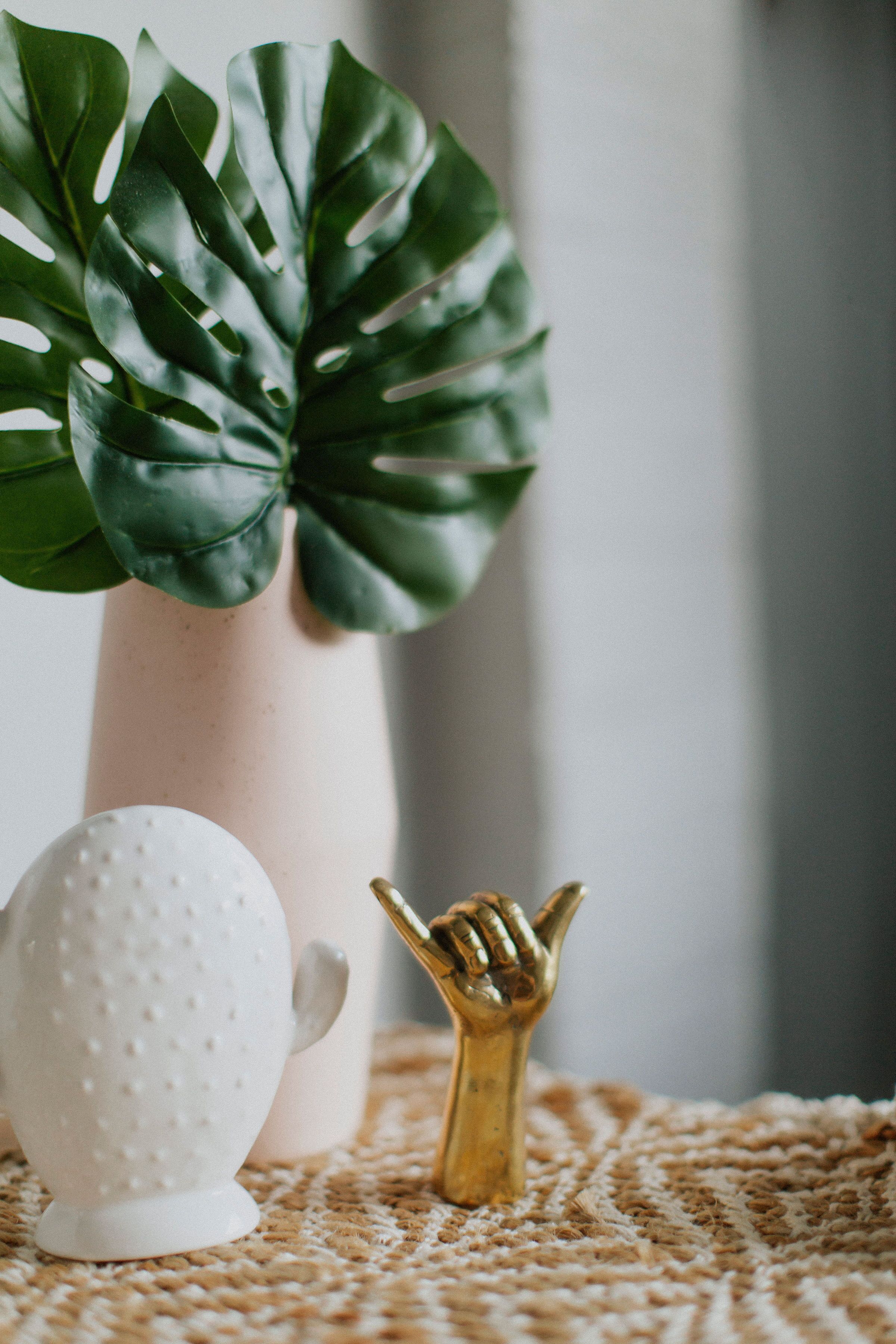 The Pink Rhino Bellingen