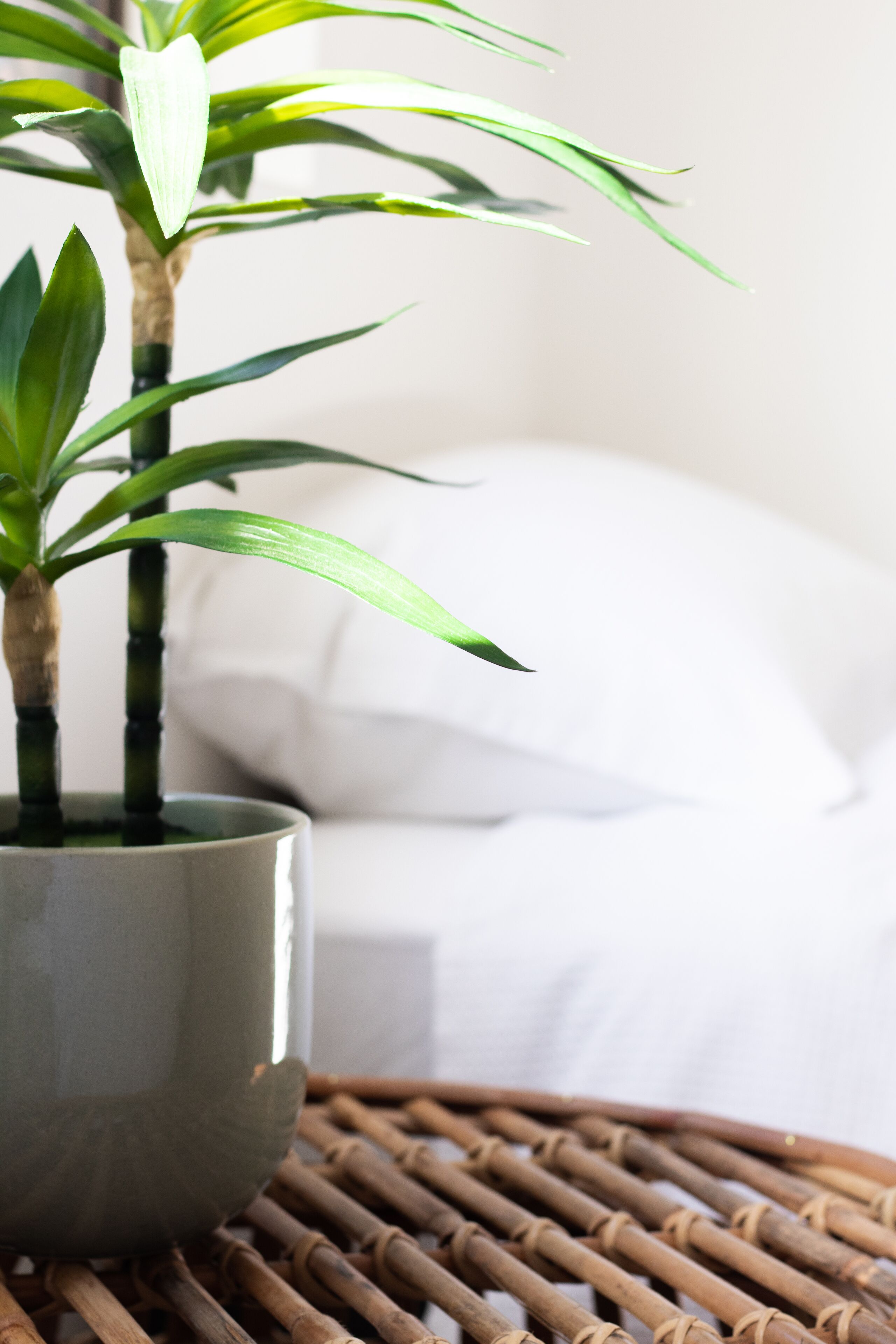 Mooloolaba Waterfront - 'La Villa De La Baie'