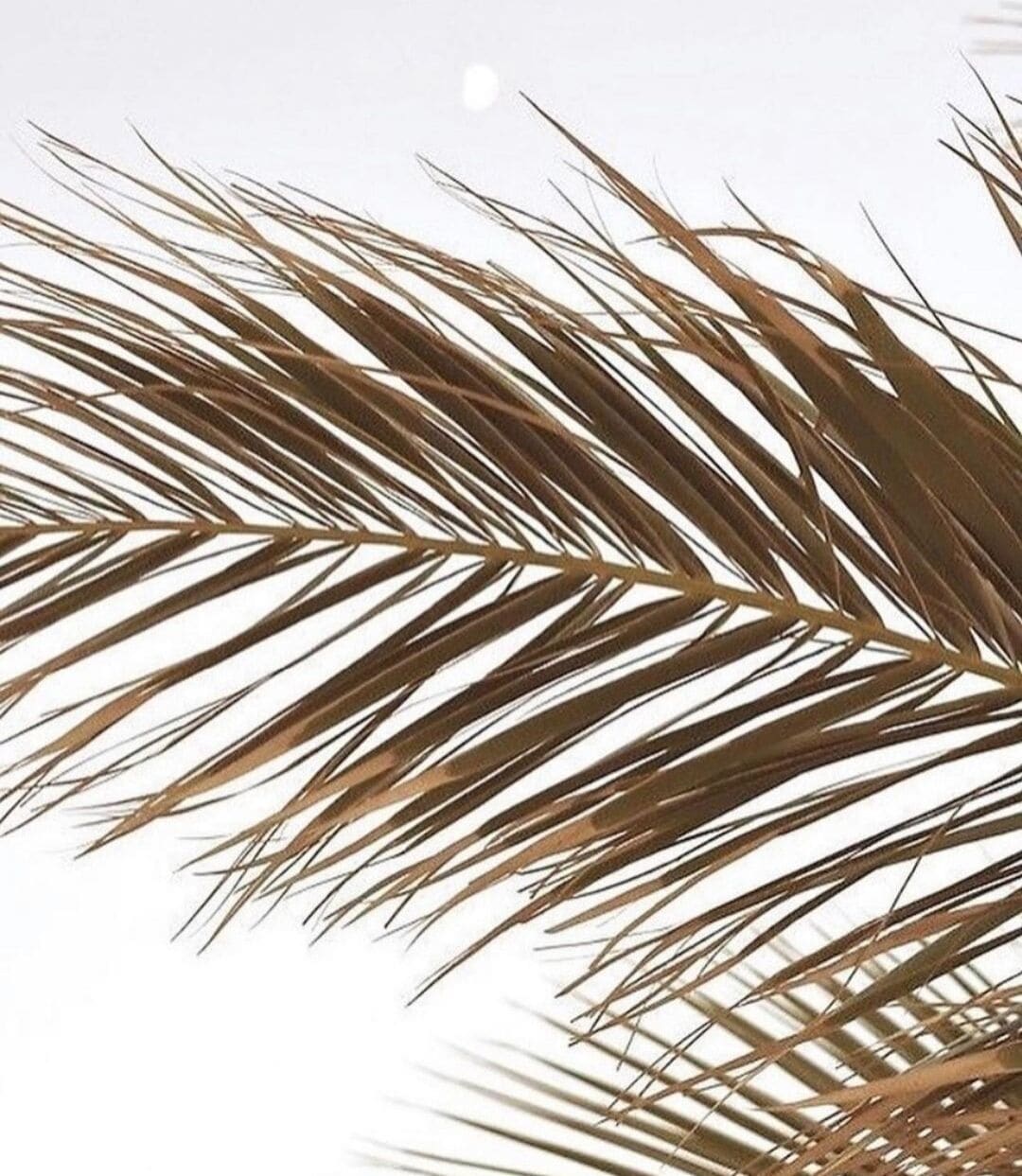 Mooloolaba Waterfront - 'La Villa De La Baie'