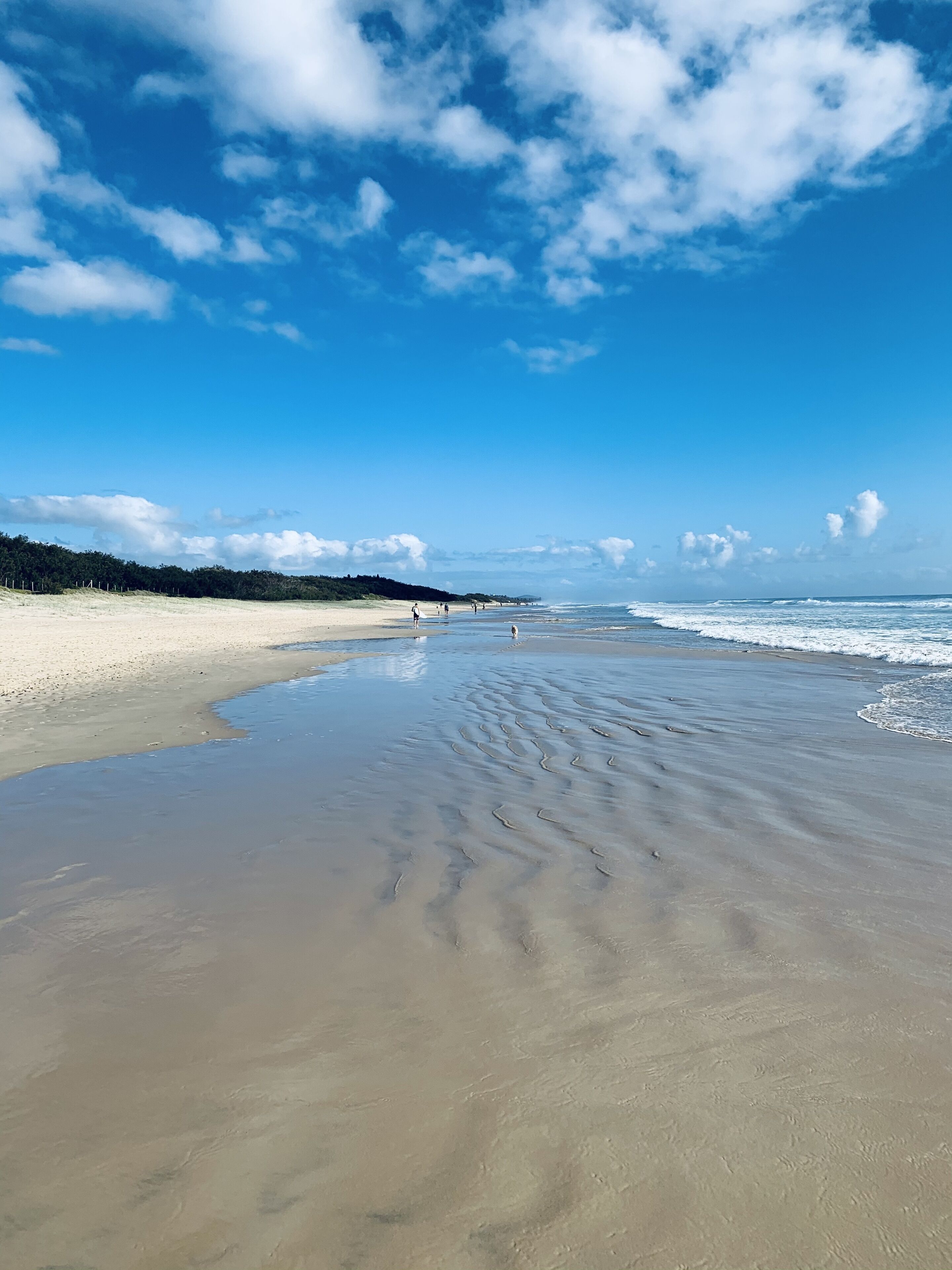 Forget the Car- Walk to the Beach and Cafes