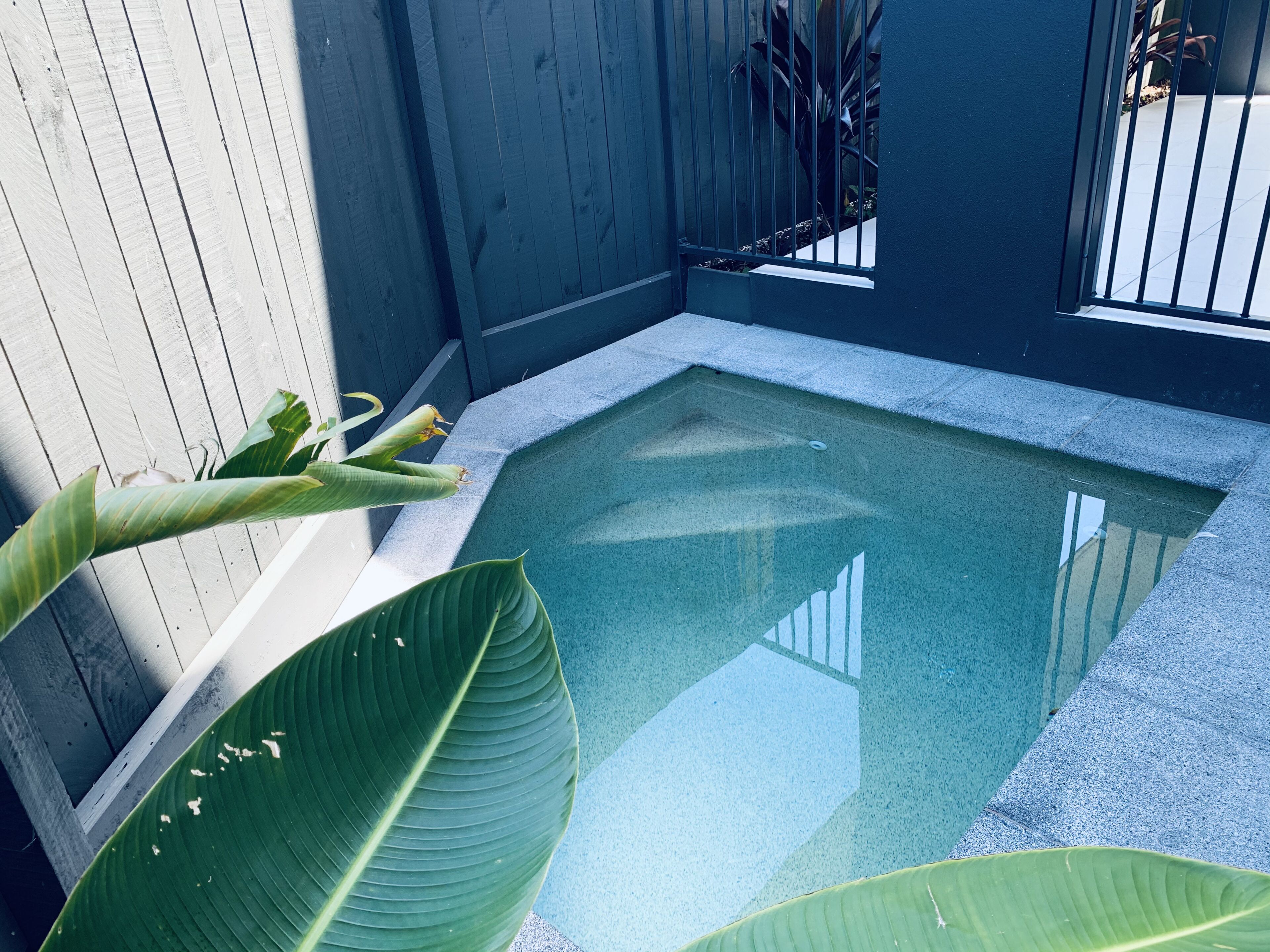 Forget the Car- Walk to the Beach and Cafes