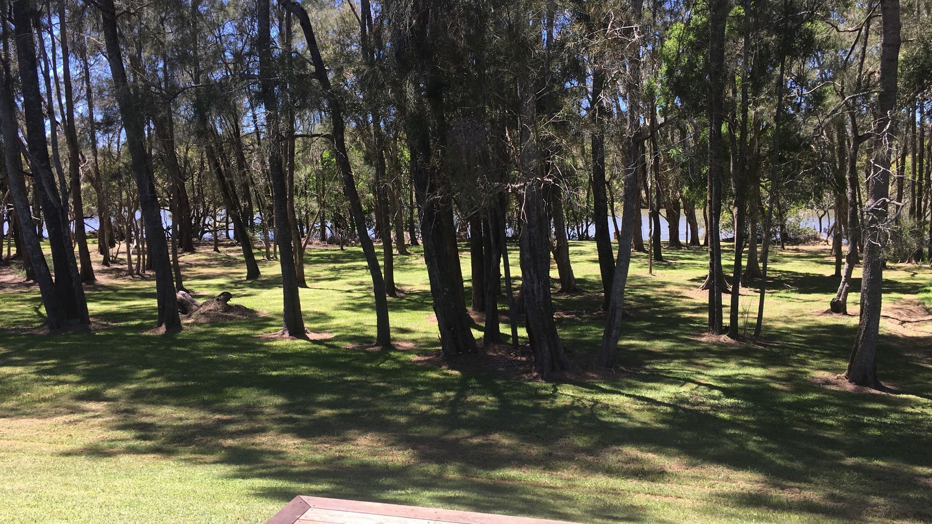 Shallow Waters, Yamba