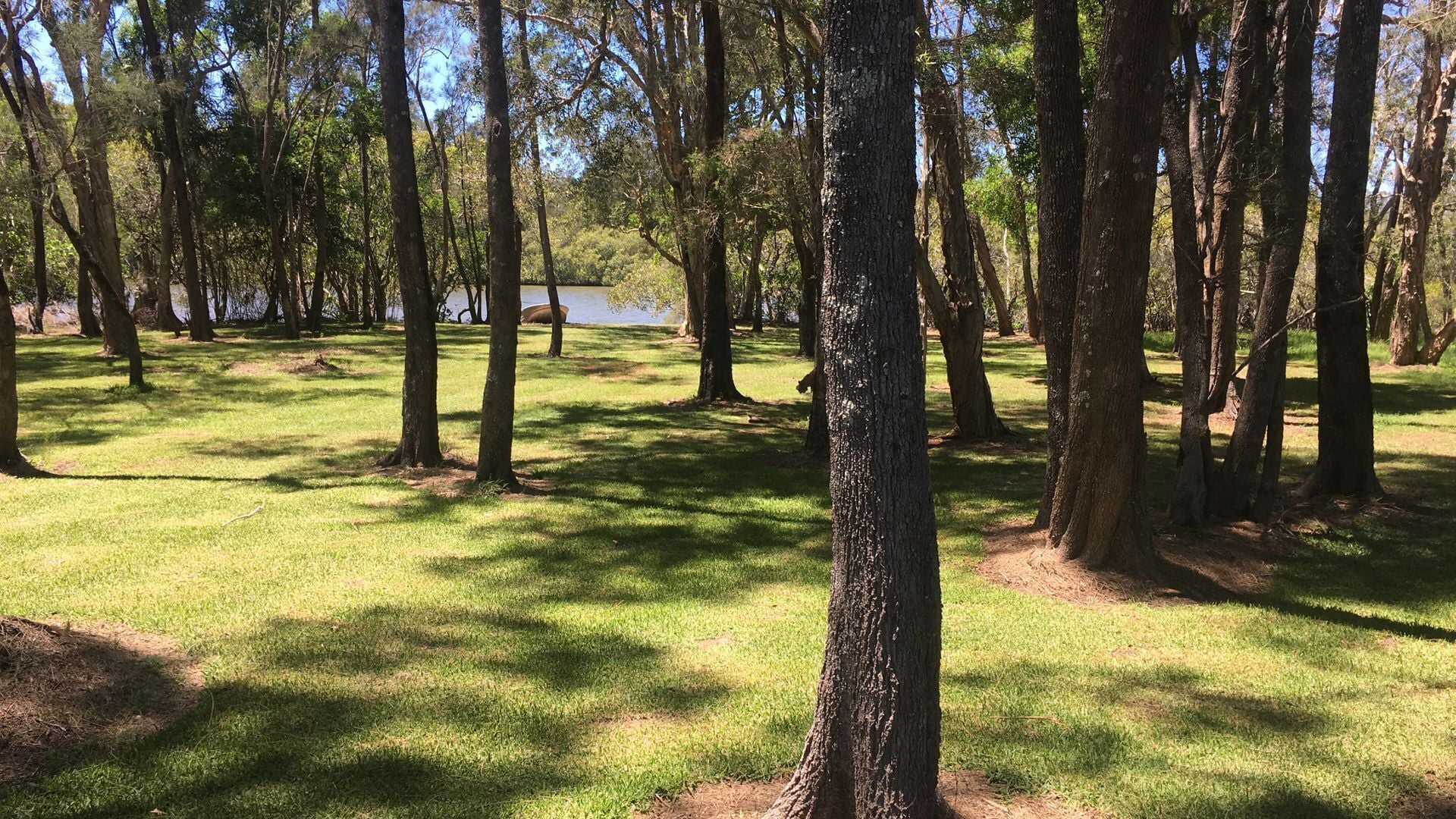 Shallow Waters, Yamba