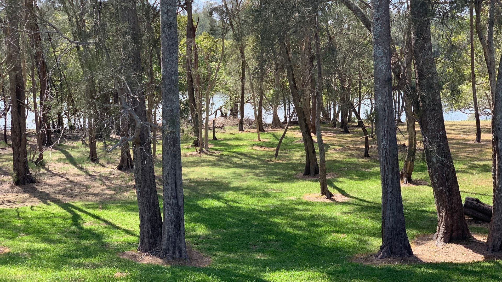 Shallow Waters, Yamba