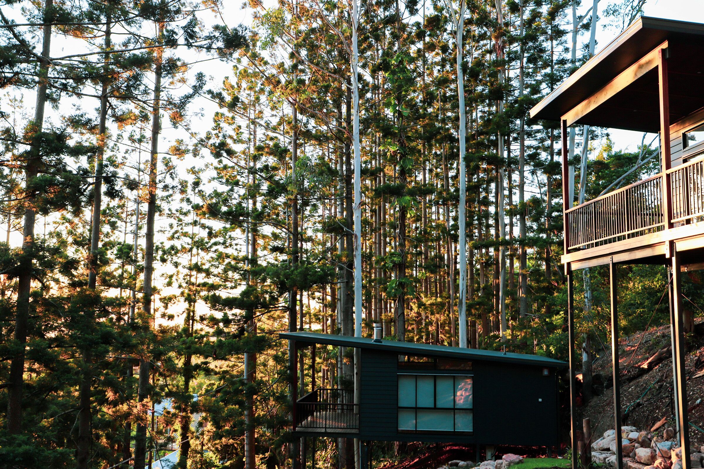 Rainforest Gardens - Luxury Hillside Chalets With Views to Bay & Islands