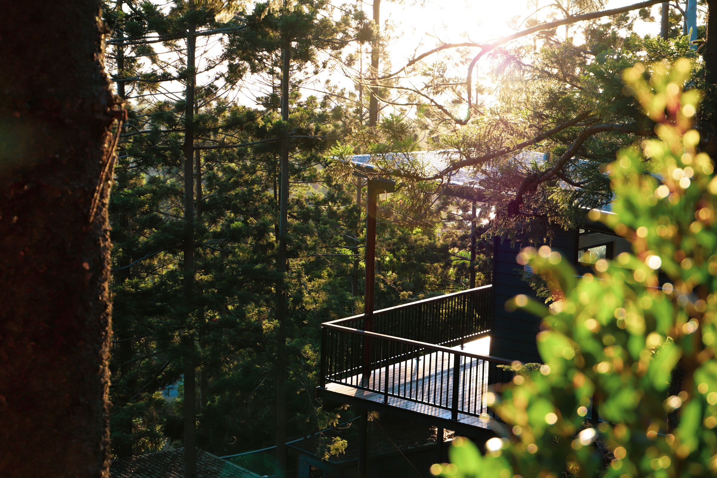 Rainforest Gardens - Luxury Hillside Chalets With Views to Bay & Islands