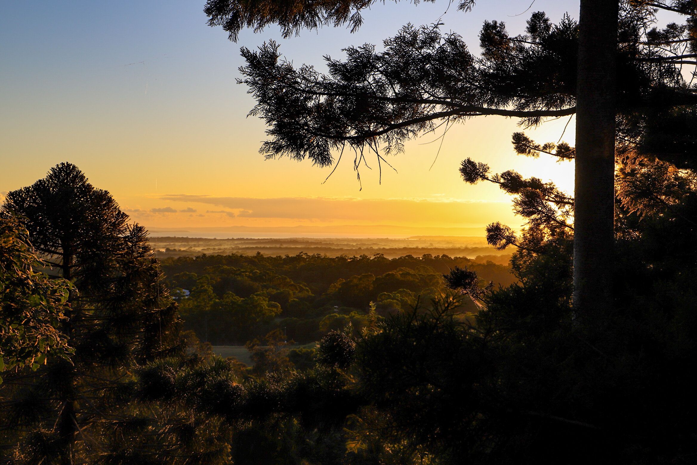 Rainforest Gardens - Luxury Hillside Chalets With Views to Bay & Islands