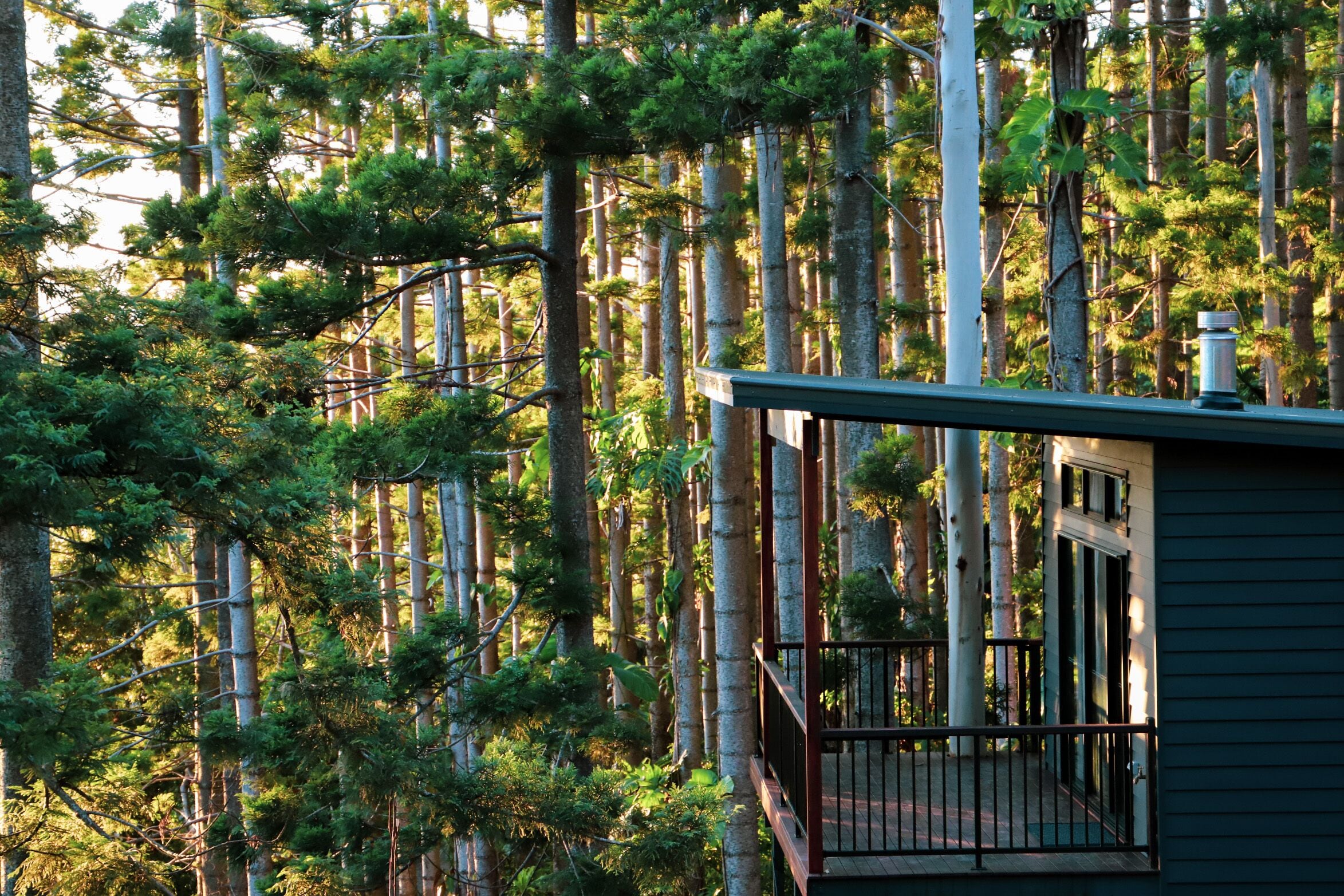 Rainforest Gardens - Luxury Hillside Chalets With Views to Bay & Islands