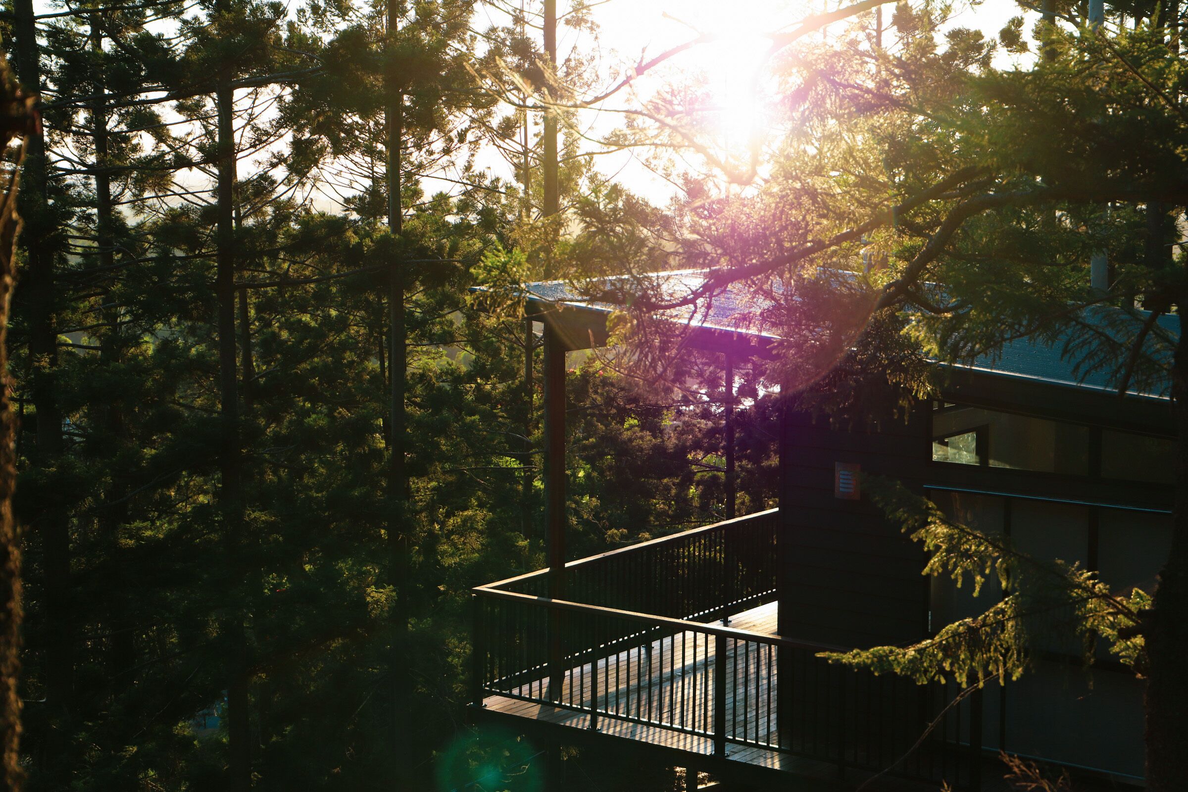 Rainforest Gardens - Luxury Hillside Chalets With Views to Bay & Islands