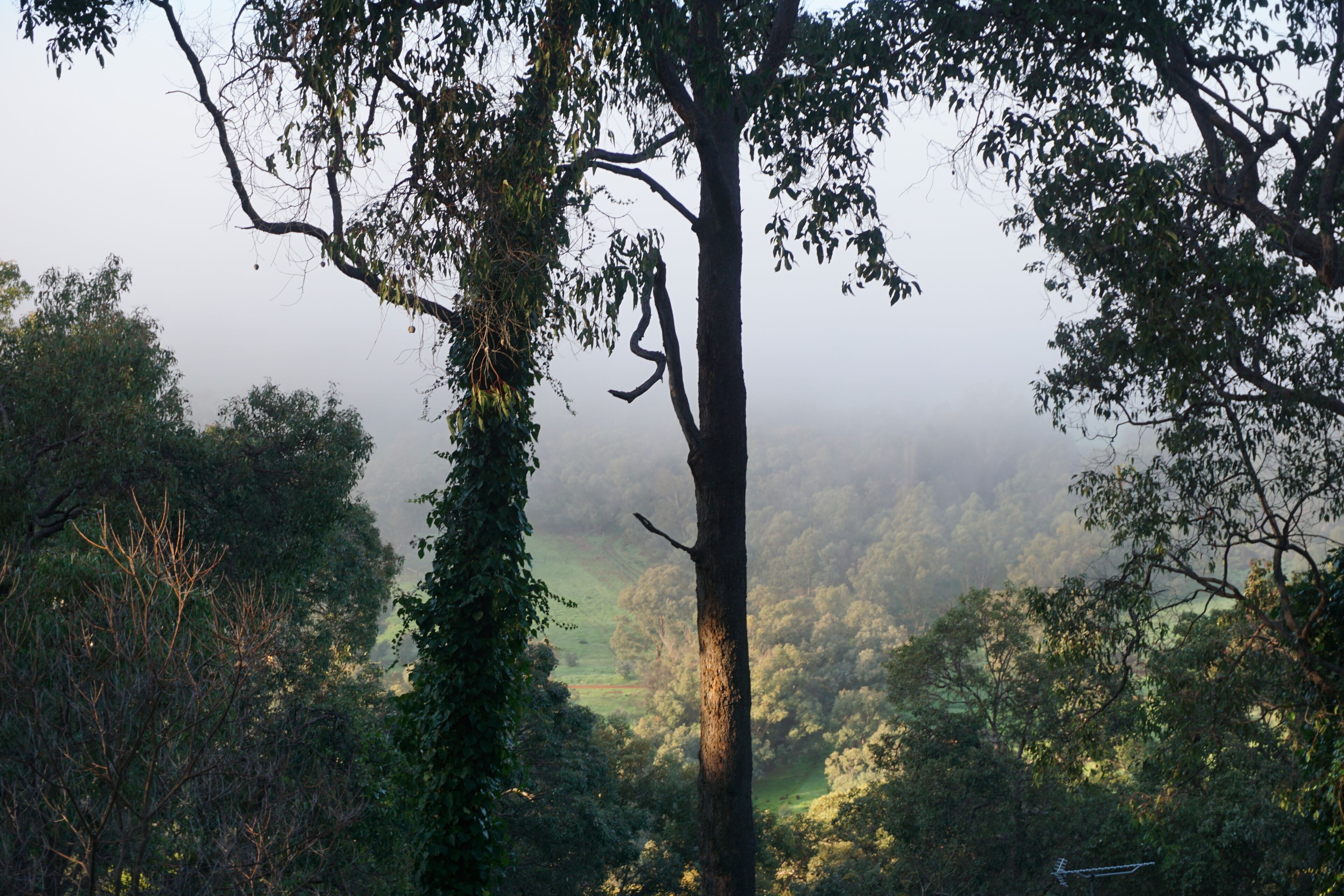 The Getaway Perth Hills