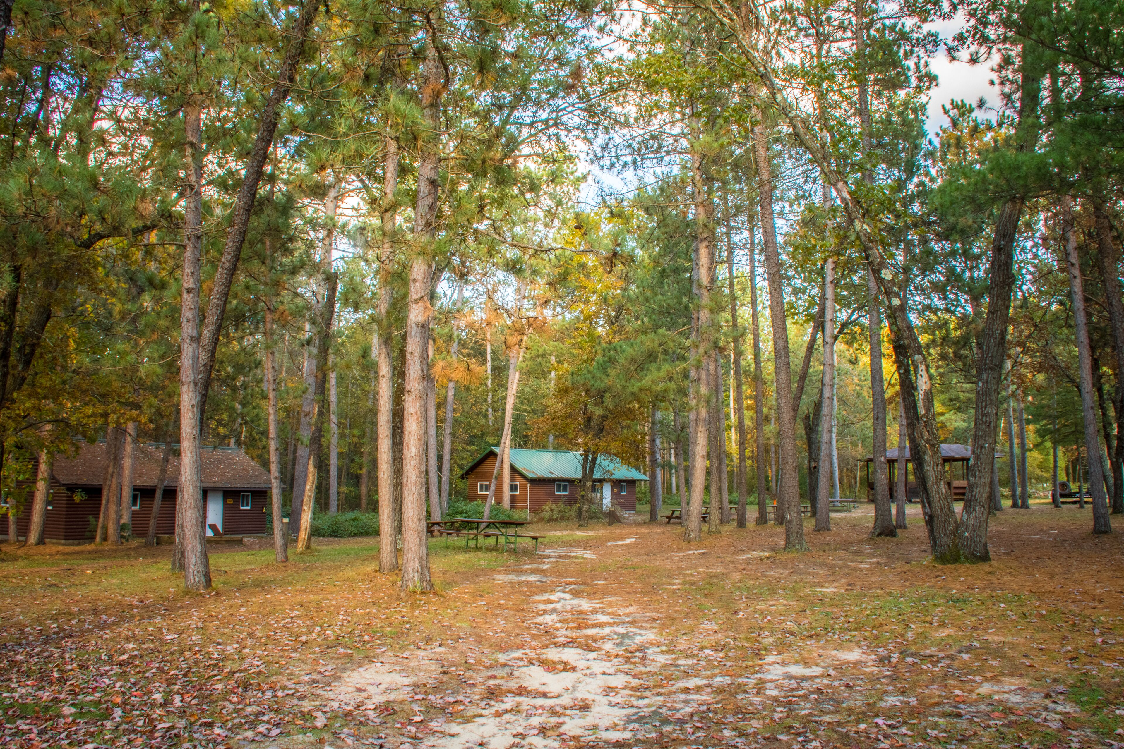 Birch Cabin Beaver Creek Reserve 2021 Room Prices Deals Reviews Expedia Com