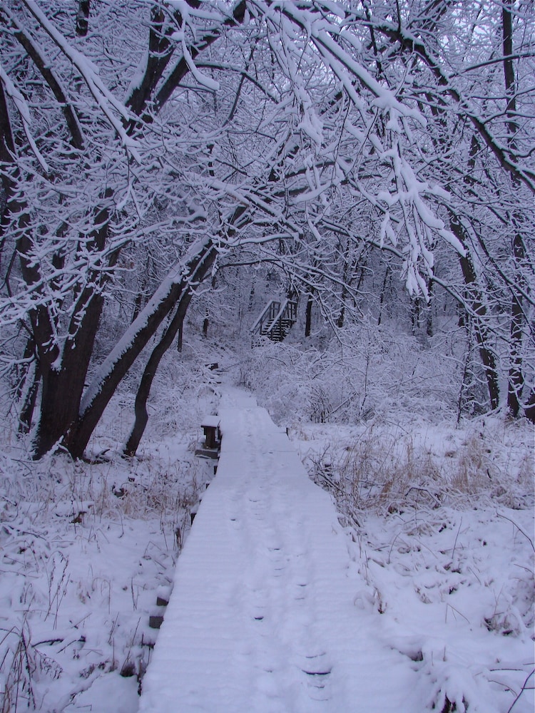 Beaver Den - Beaver Creek Reserve