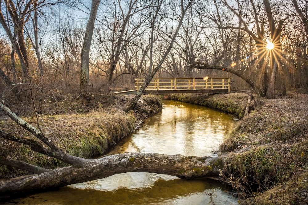 Beaver Den - Beaver Creek Reserve