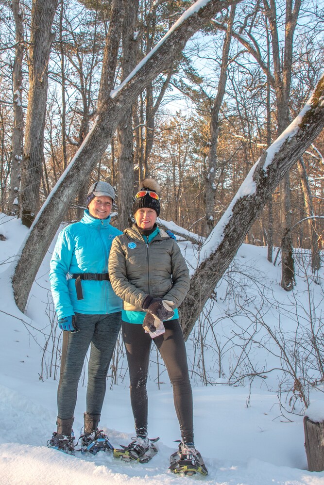 Beaver Den - Beaver Creek Reserve