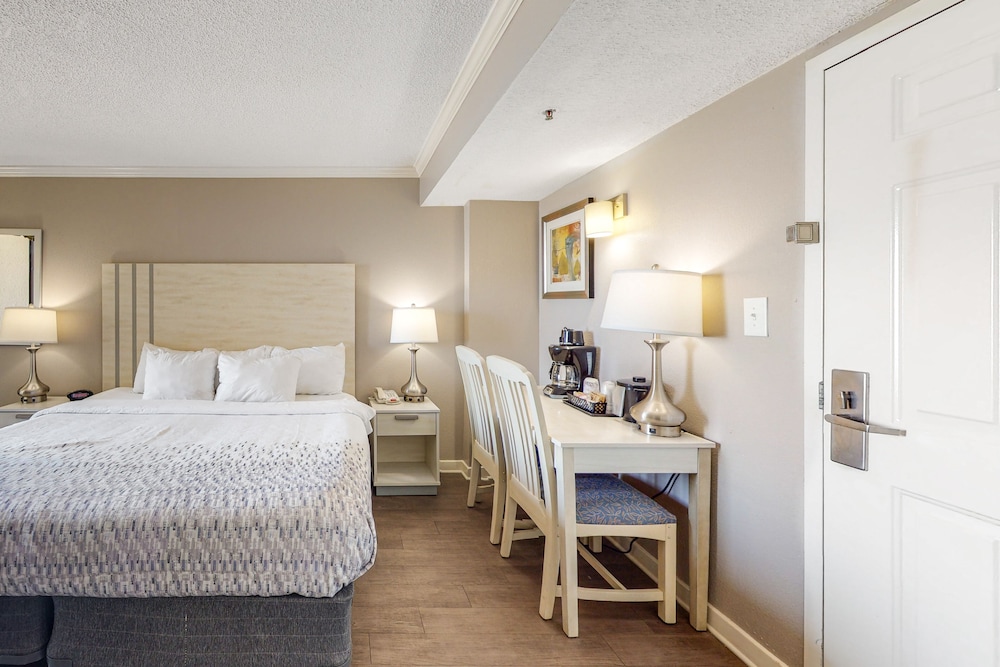 8th Floor Ocean View Studio w/ AC, WiFi, Shared Pool/Hot Tub-Dogs OK