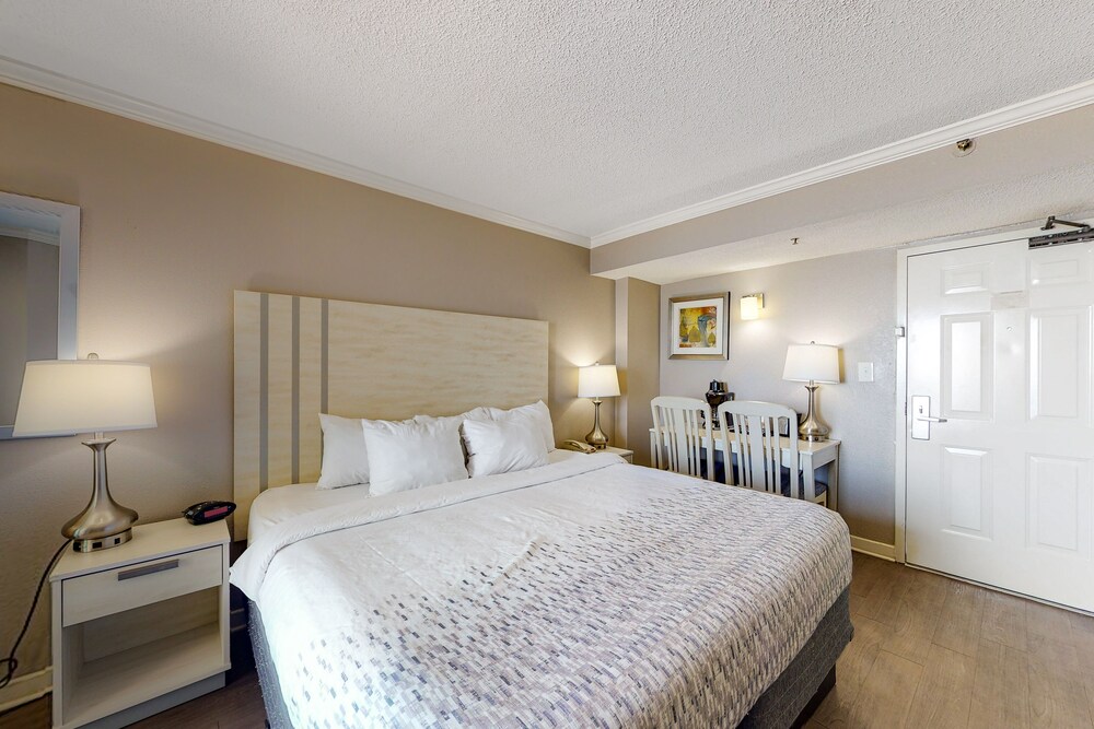 8th Floor Ocean View Studio w/ AC, WiFi, Shared Pool/Hot Tub-Dogs OK