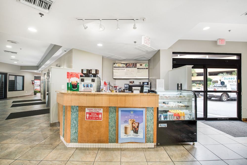 7th Floor Ocean View Studio w/ AC, Shared Pool/Hot Tub, WiFi-Dogs OK