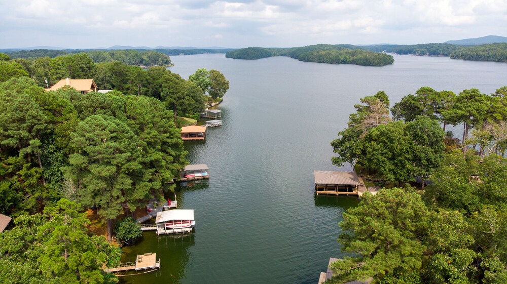 ON Hamilton - 7 S - boat & swim dock - on cove off main channel! STEPS from lake