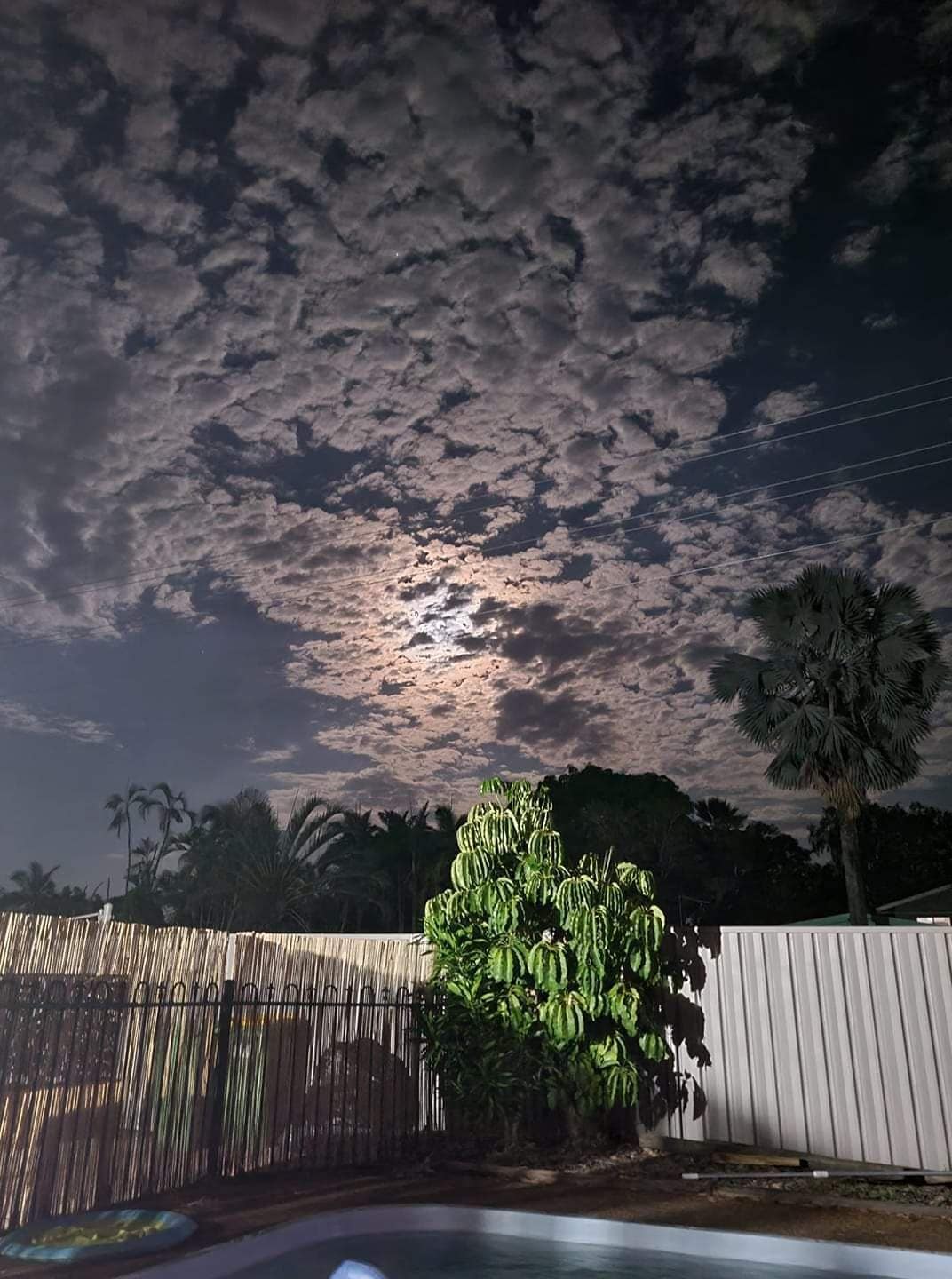 Rooms in a Nudist Poly Household, Walk to Beach