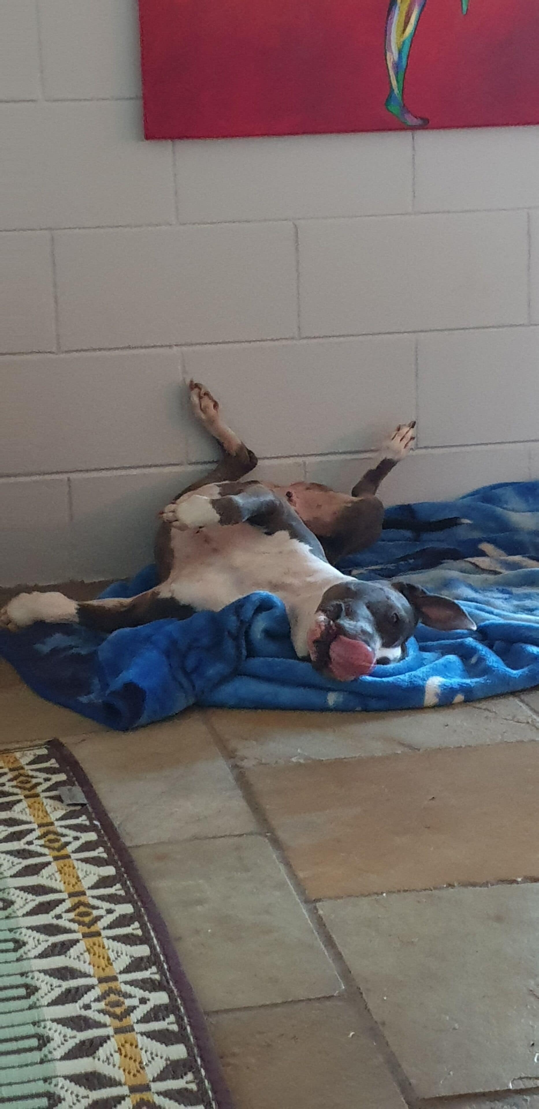 Rooms in a Nudist Poly Household, Walk to Beach