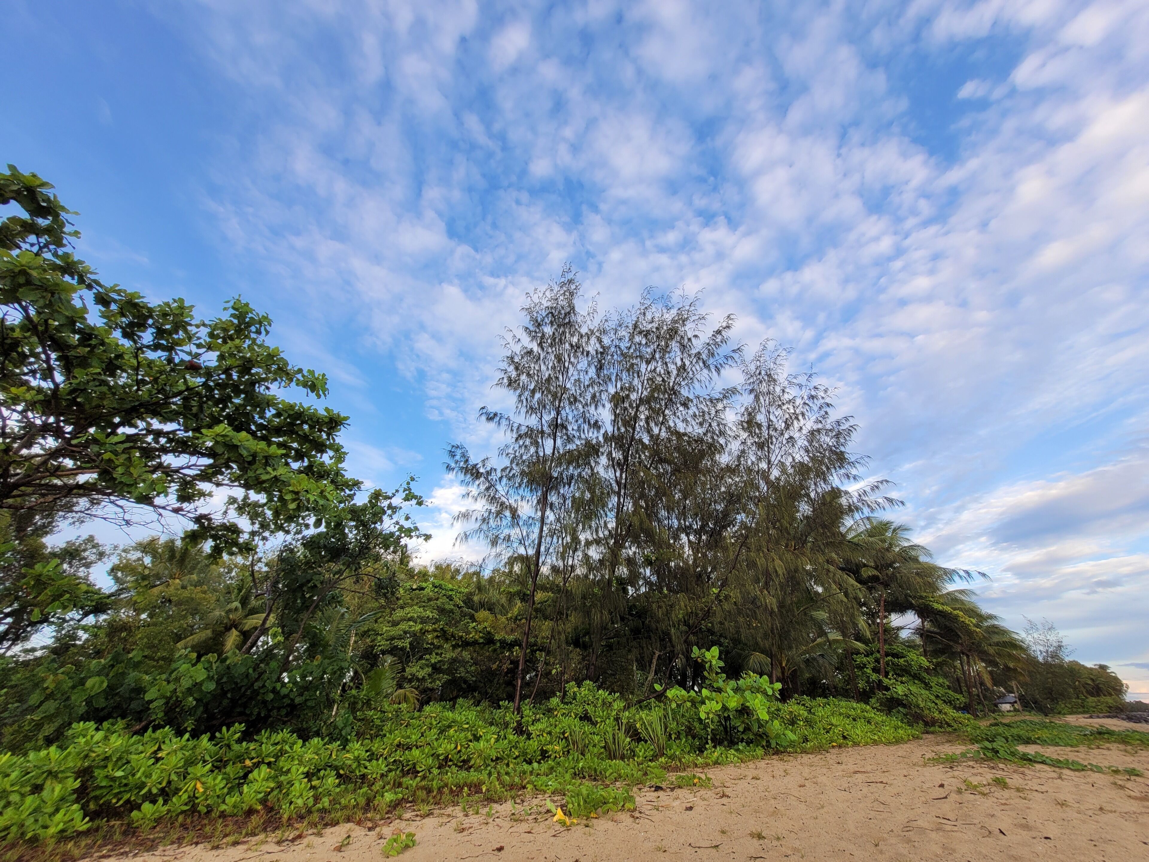 Rooms in a Nudist Poly Household, Walk to Beach