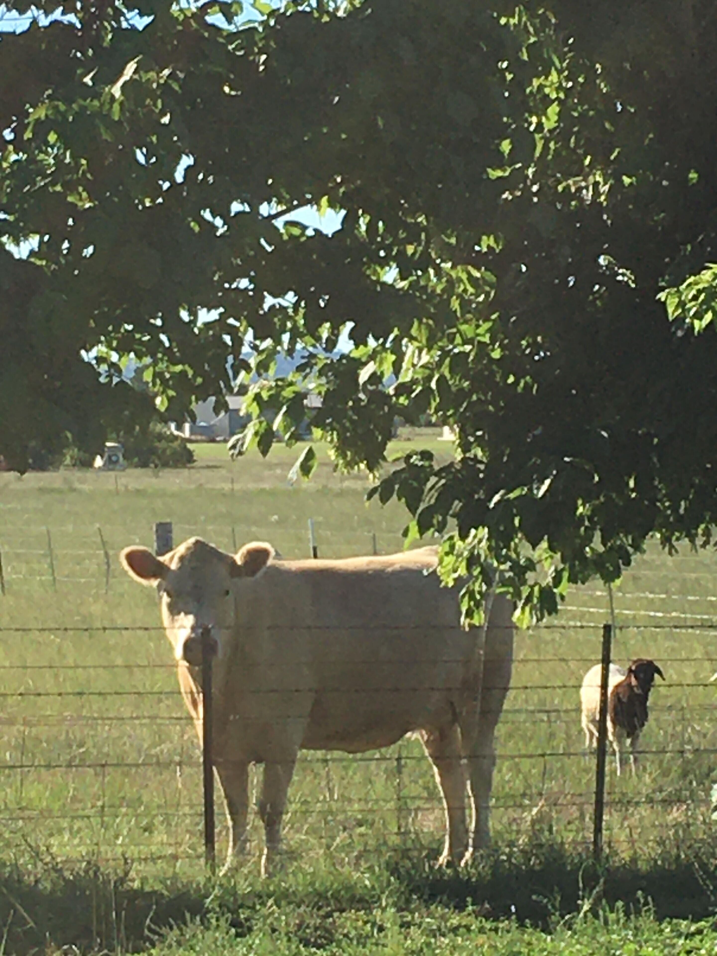 Willowbrook Gardens@frogrockfarmstay