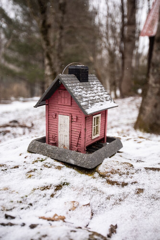 Charming Cattail Cabin Nestled in the Mountains